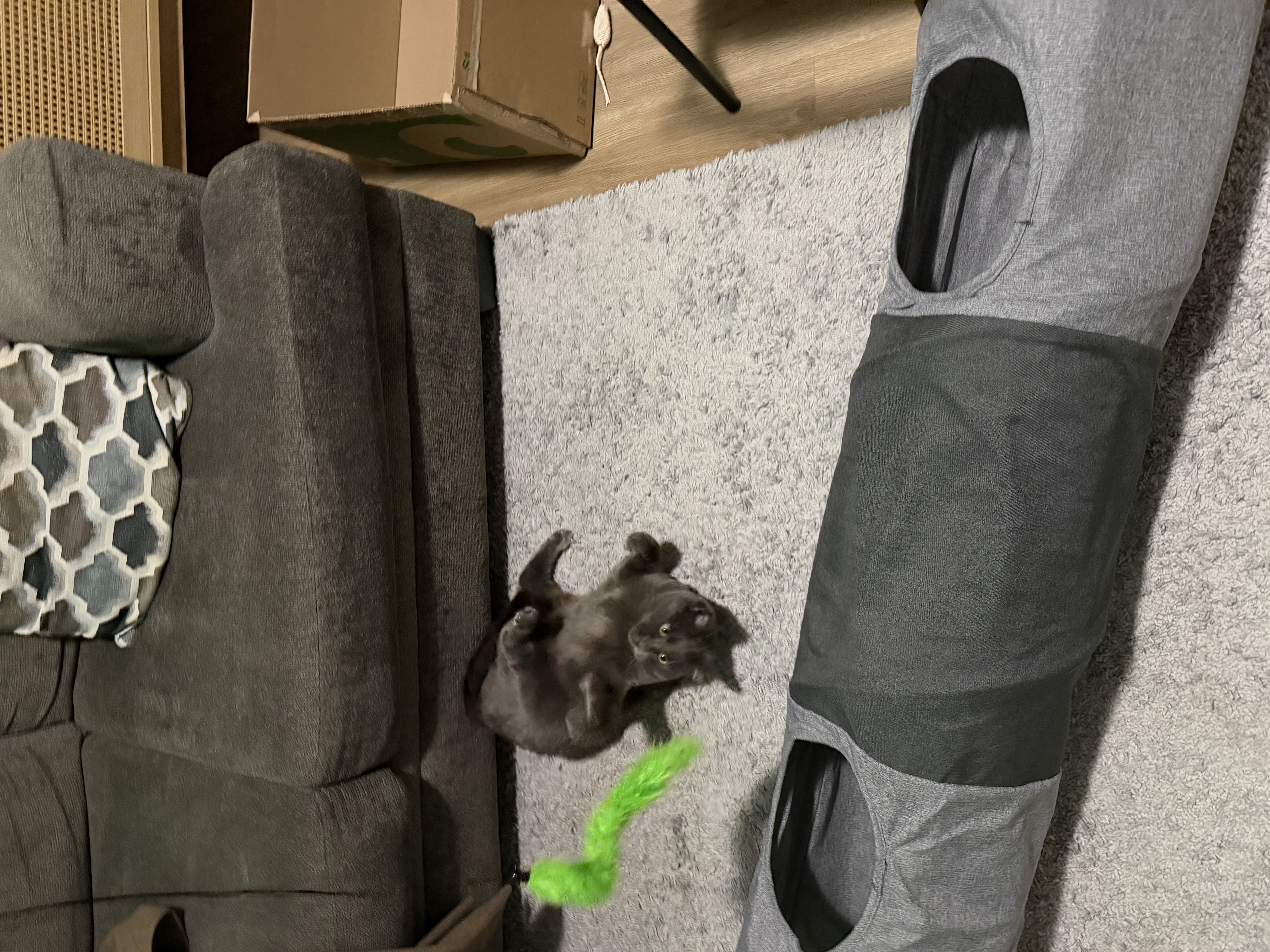image-8