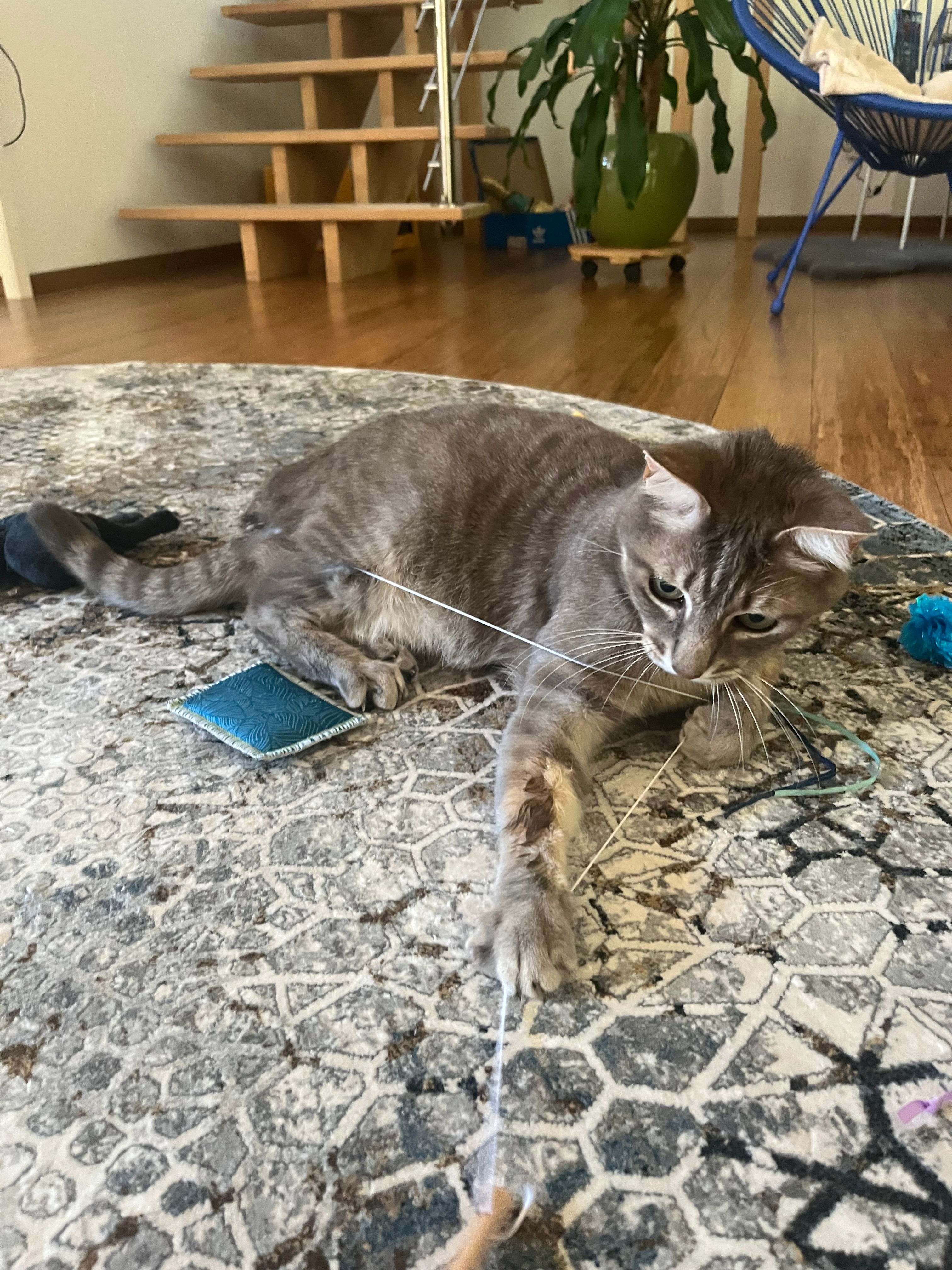 image-11