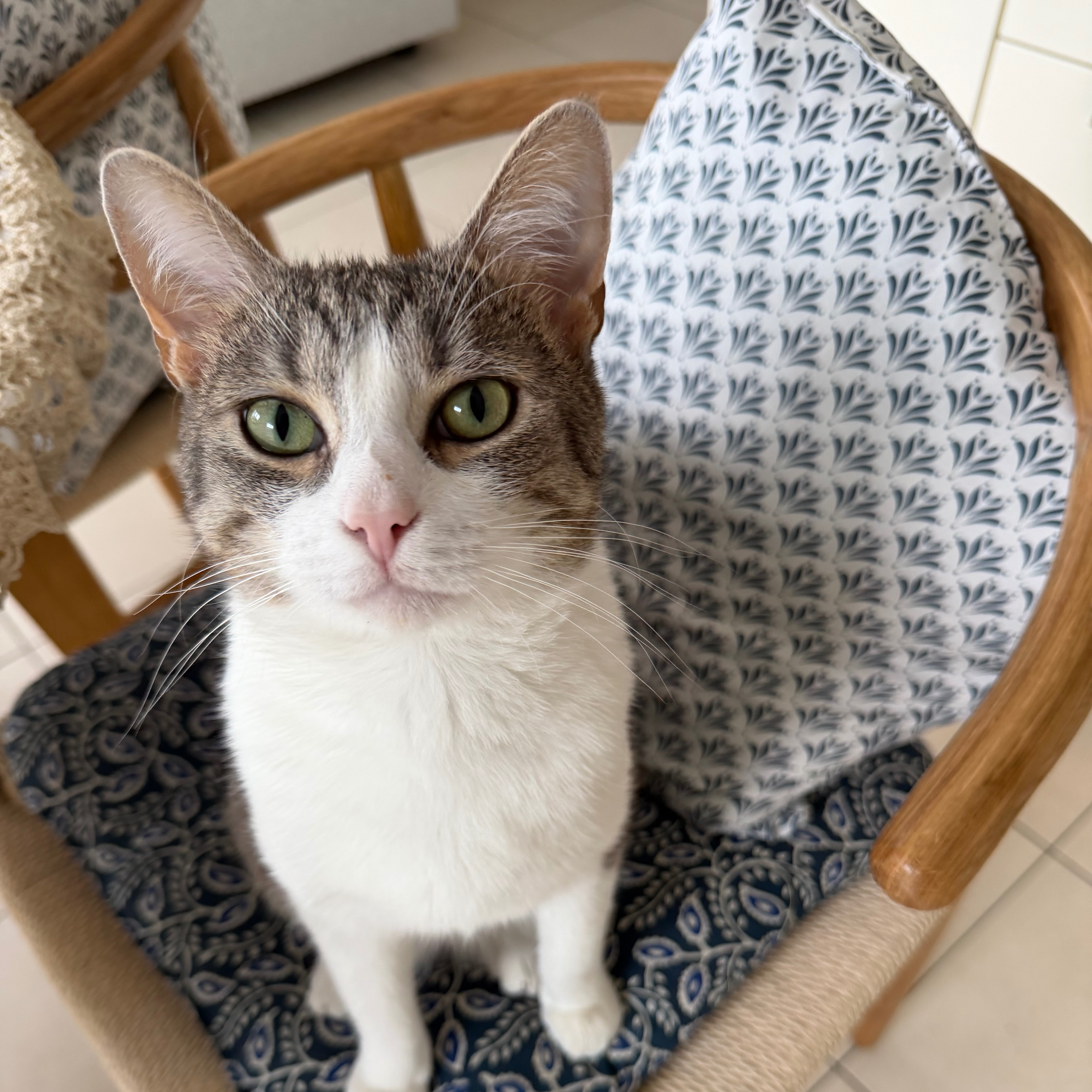 Filemon