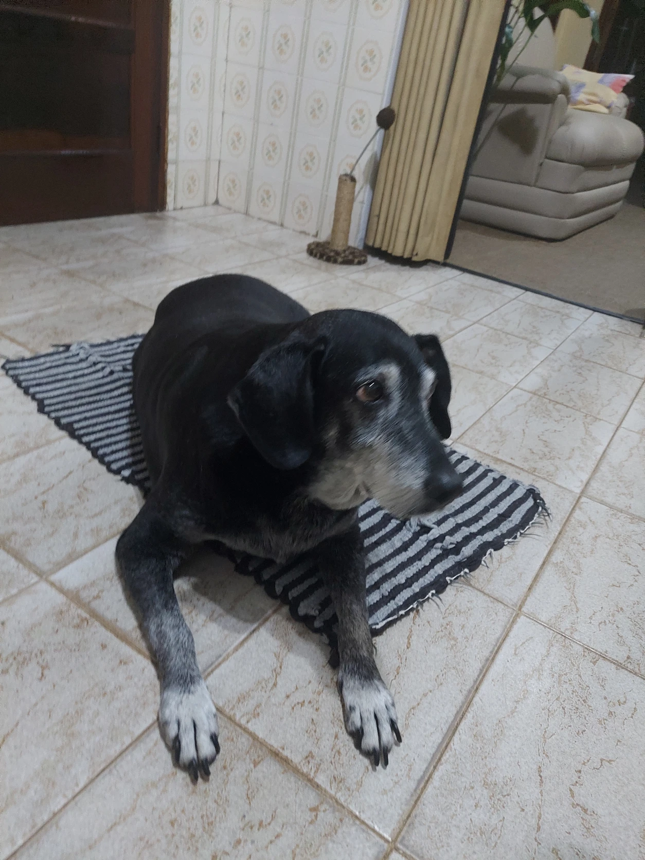 image-3