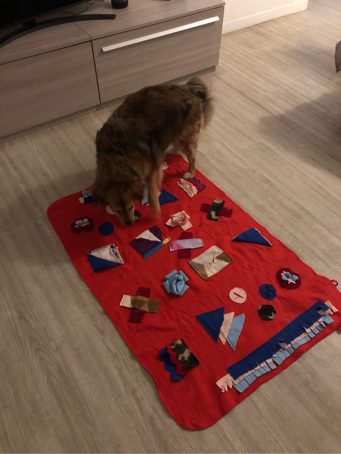 image-7