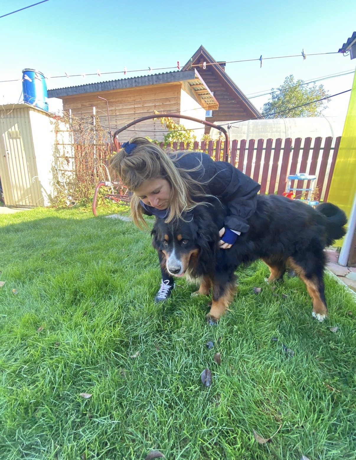 image-4