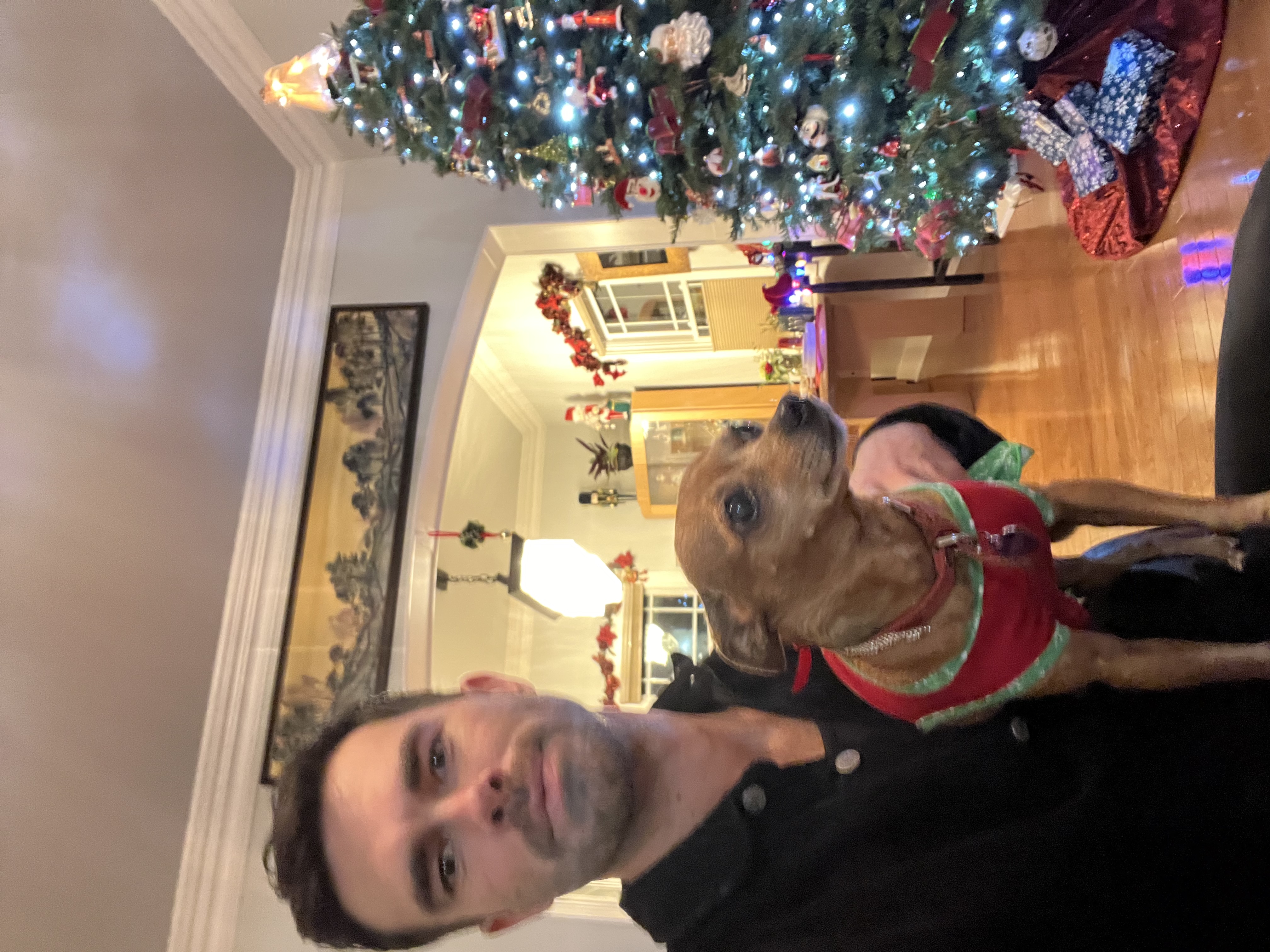 image-2