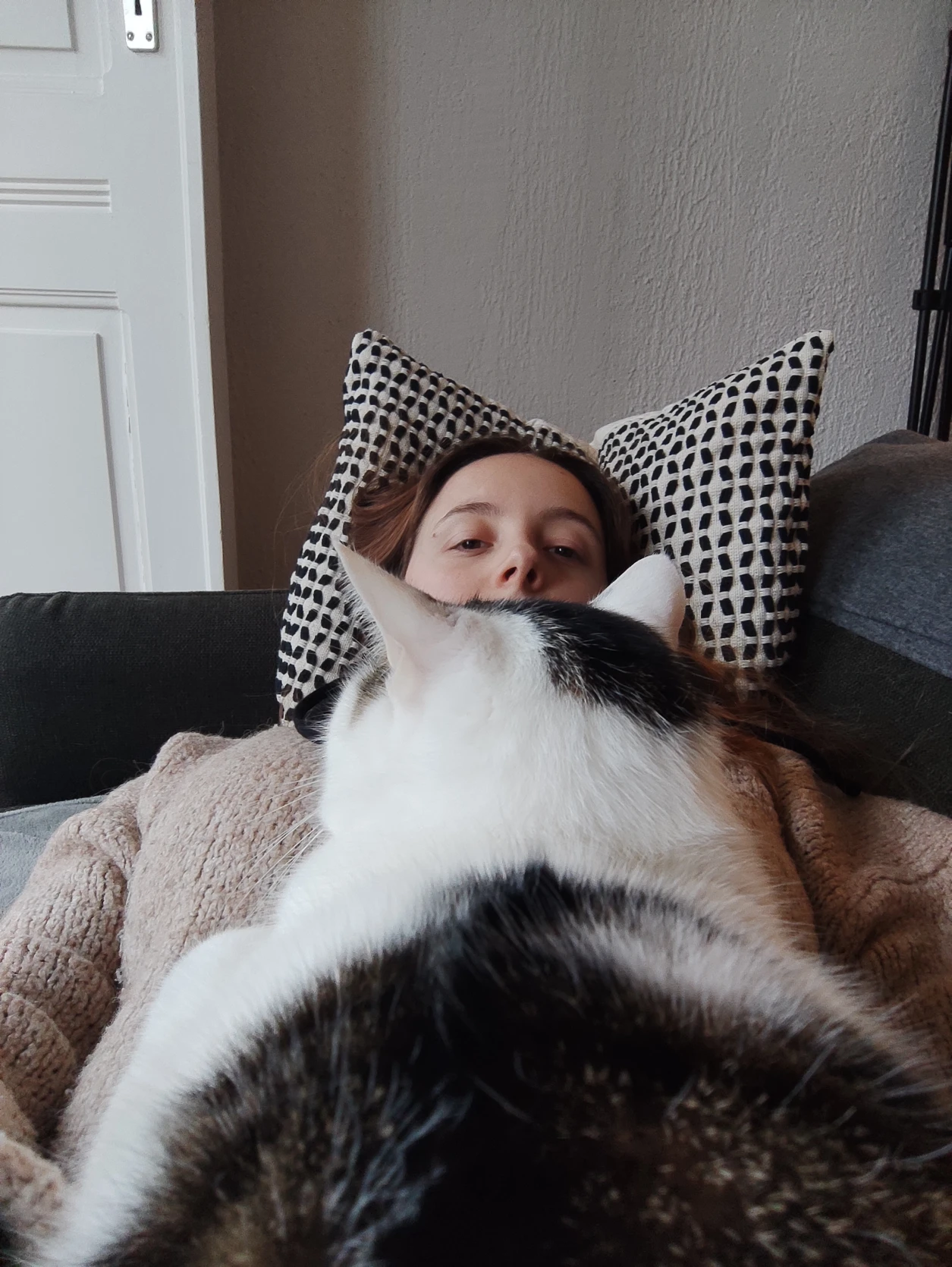 image-7