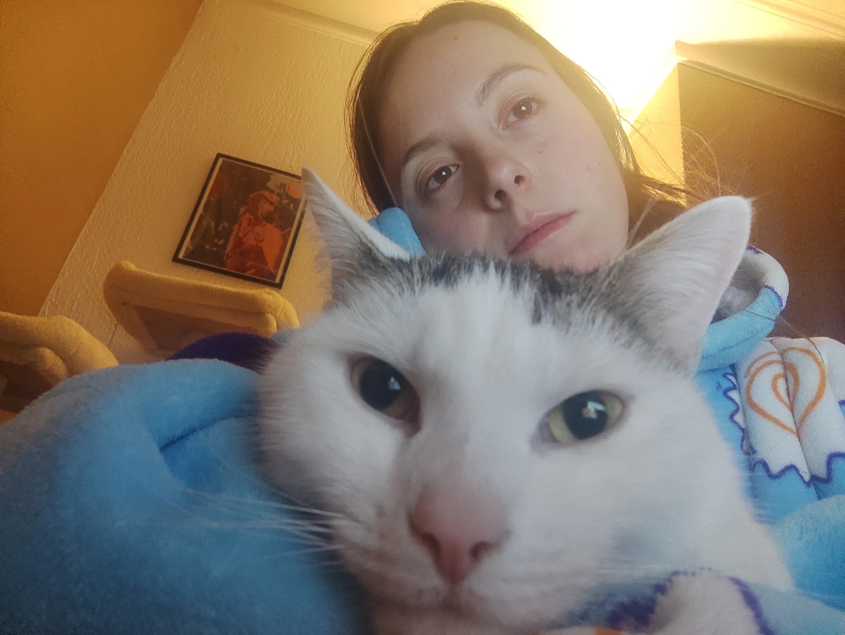 image-5