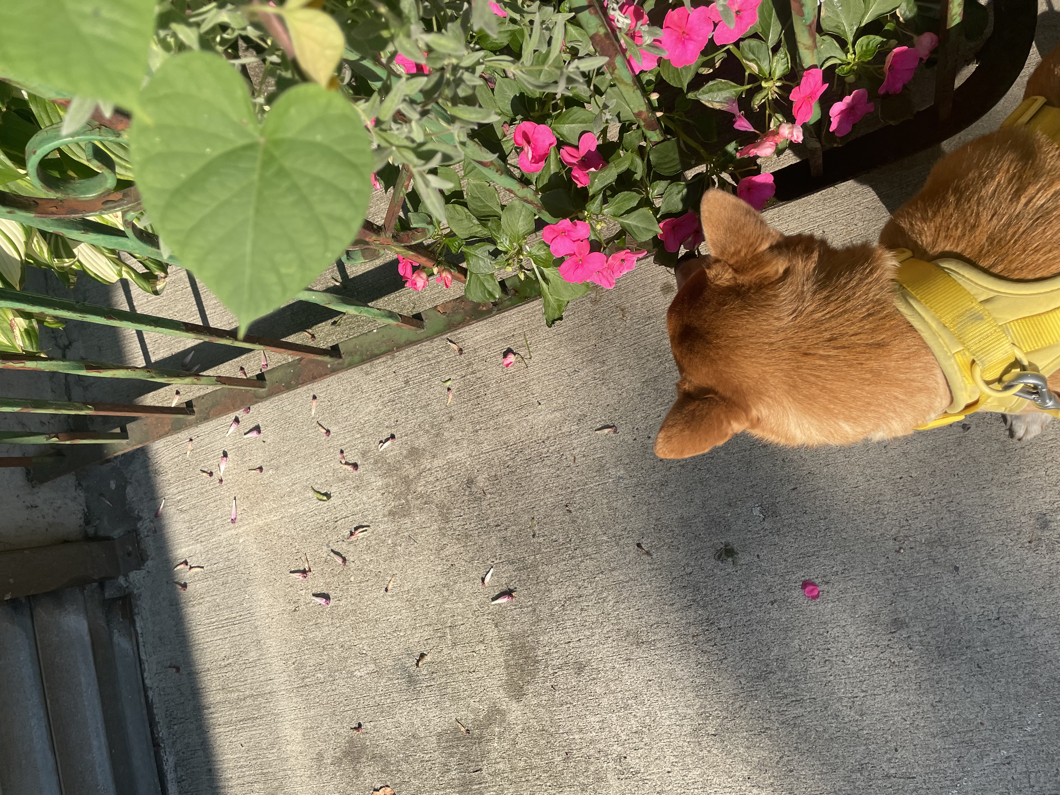 image-18