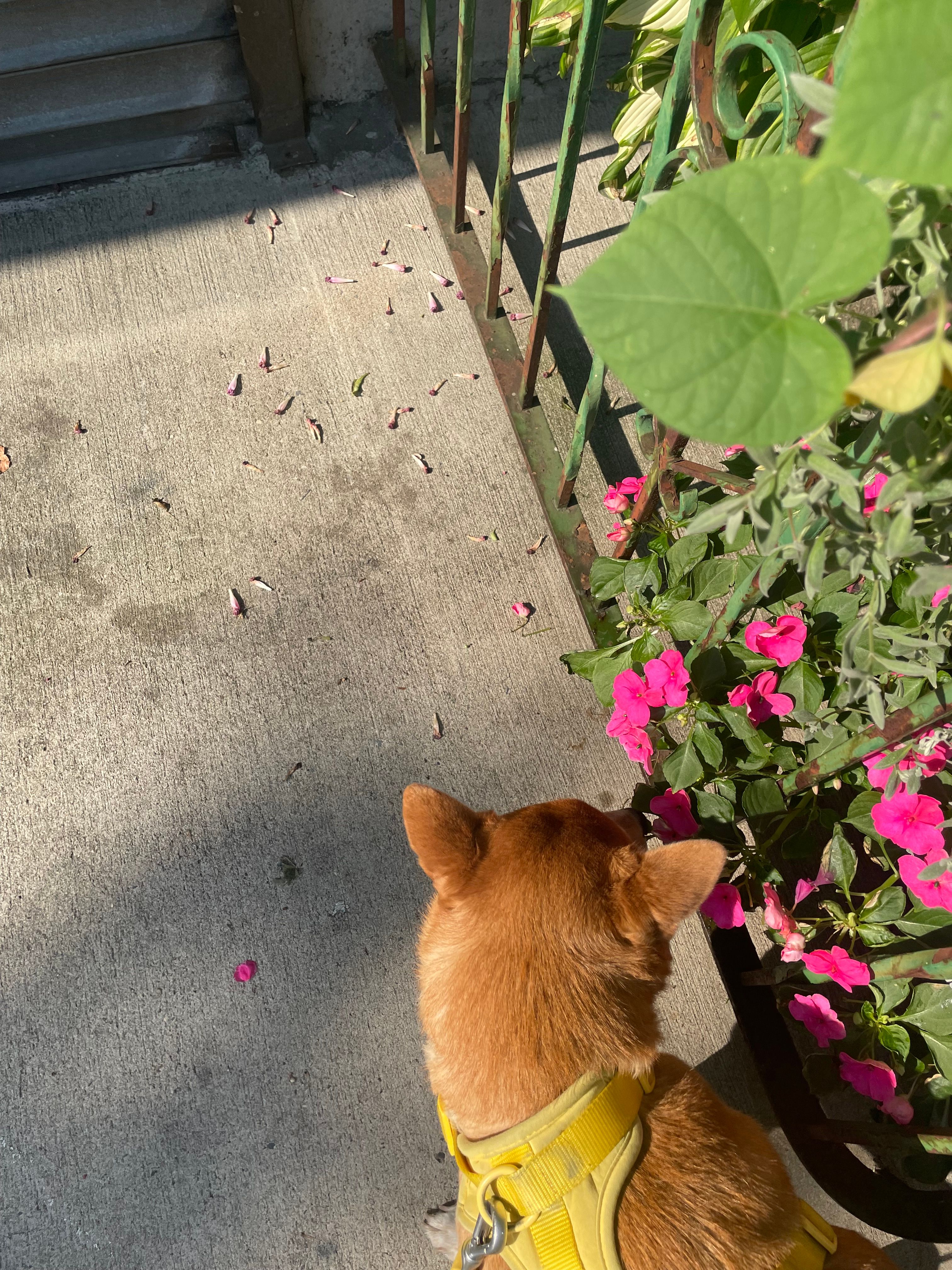image-18
