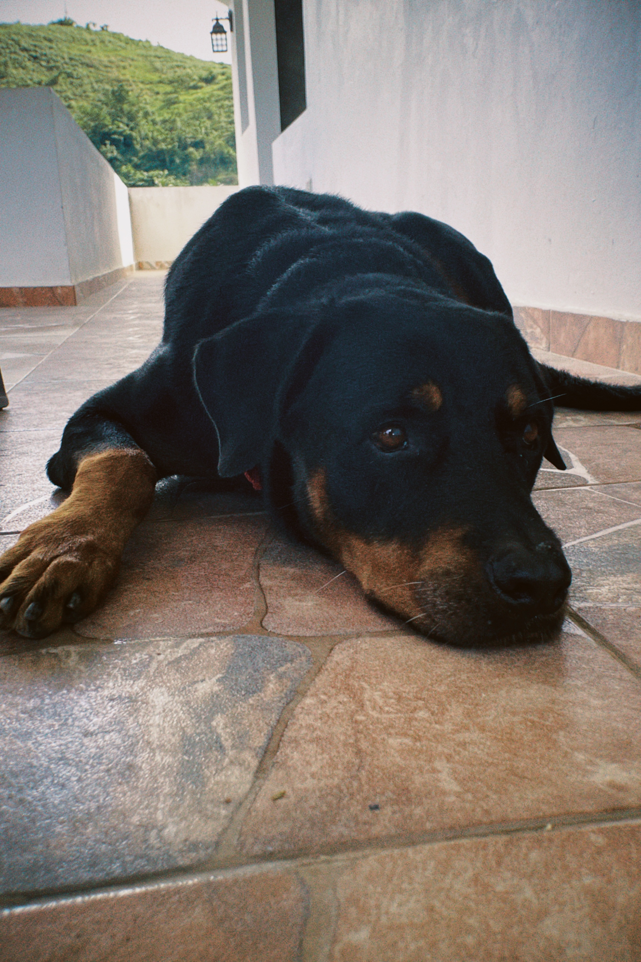 image-5