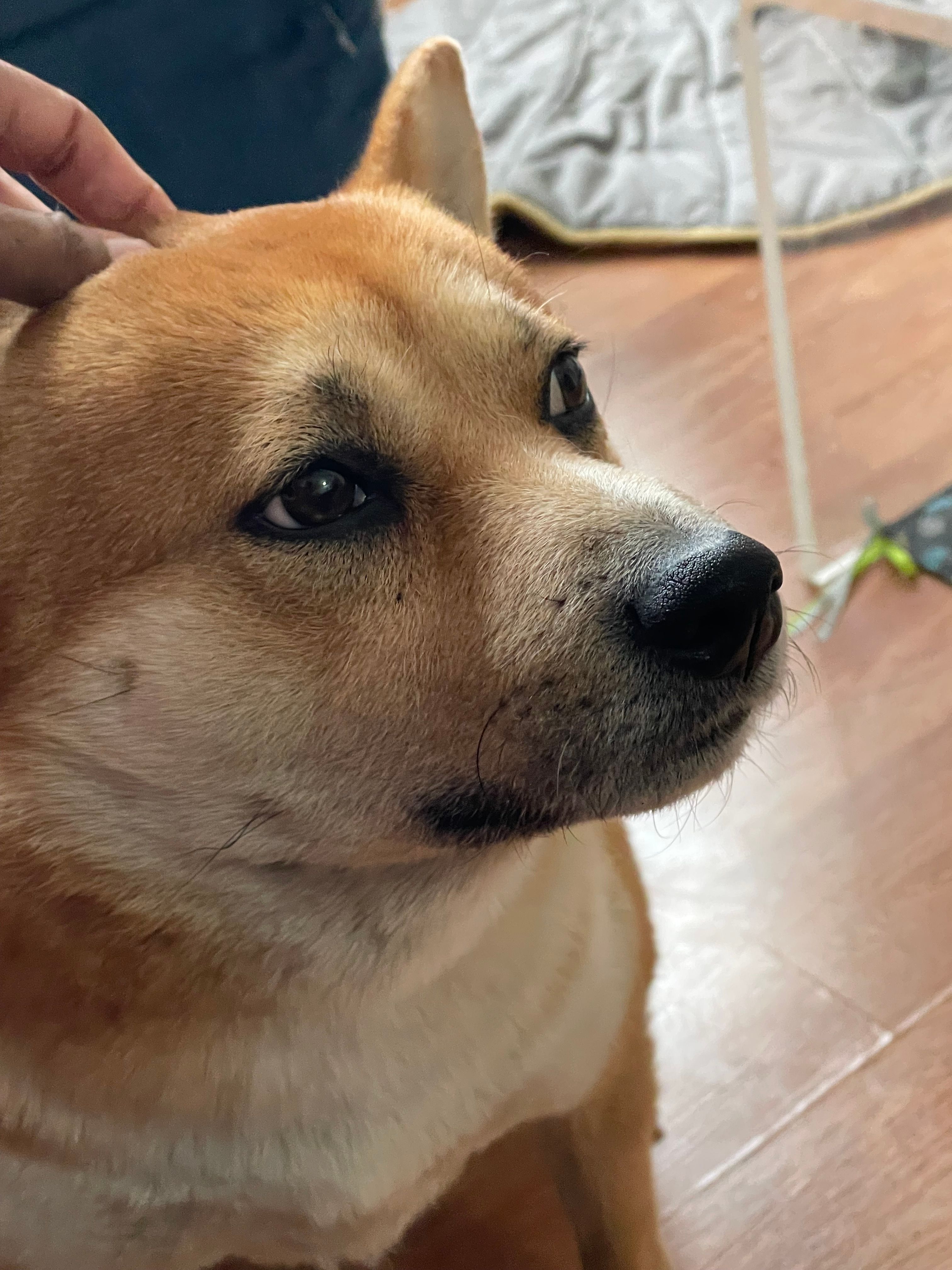 image-17