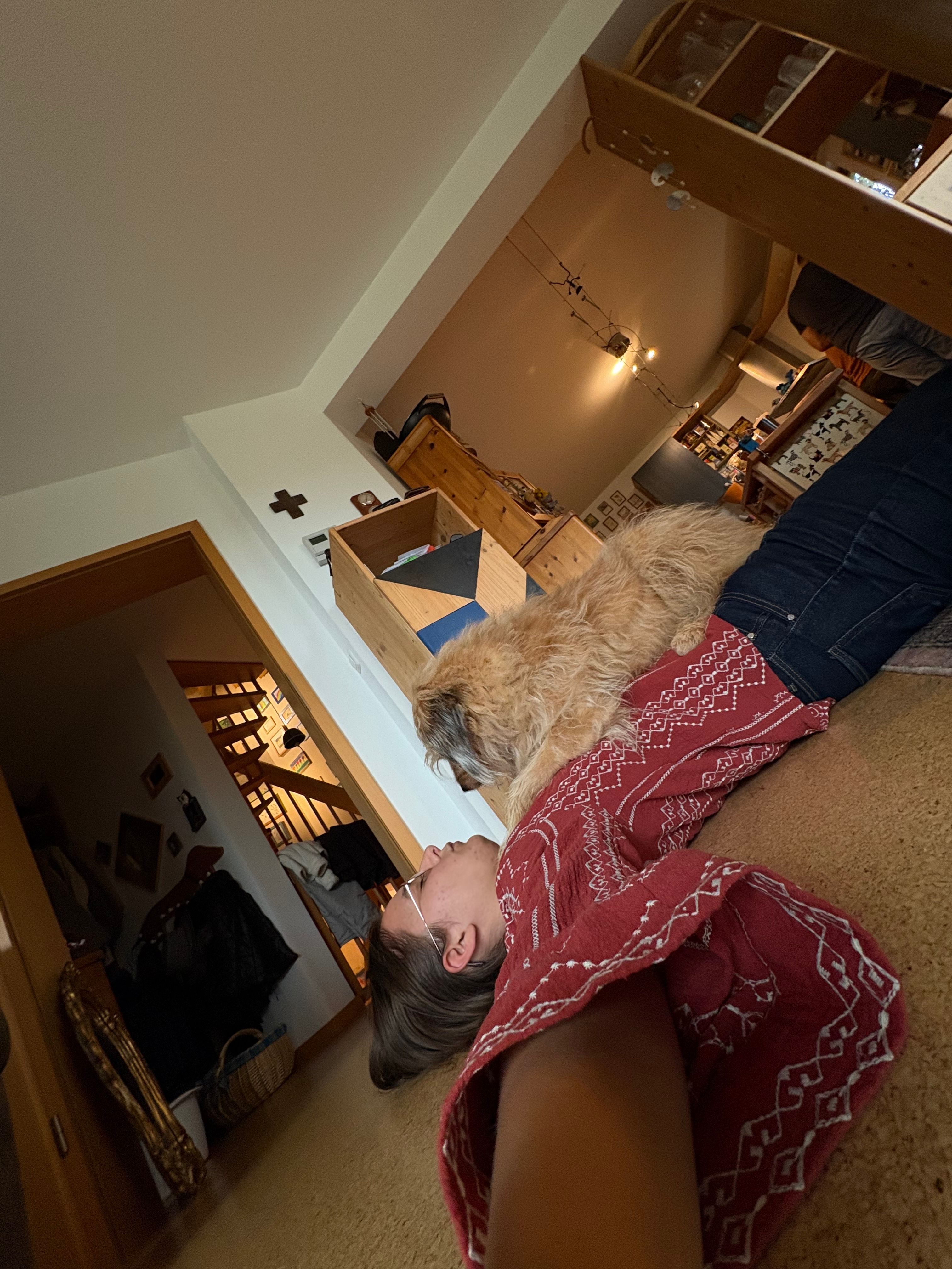 image-3