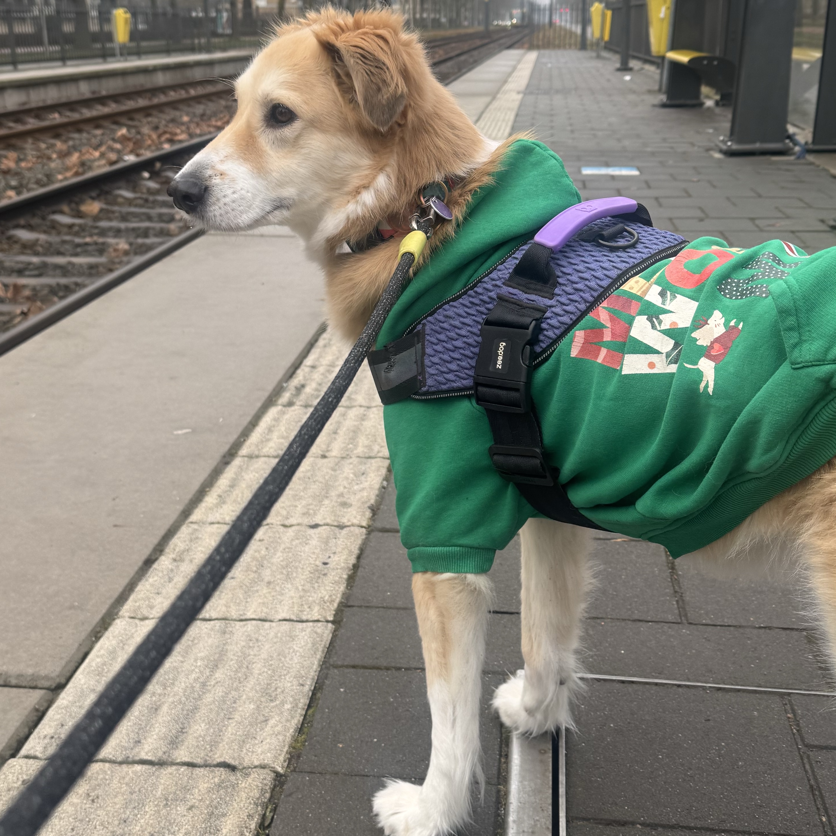Kali