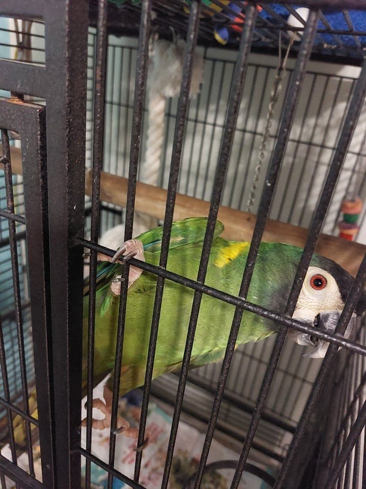 image-9
