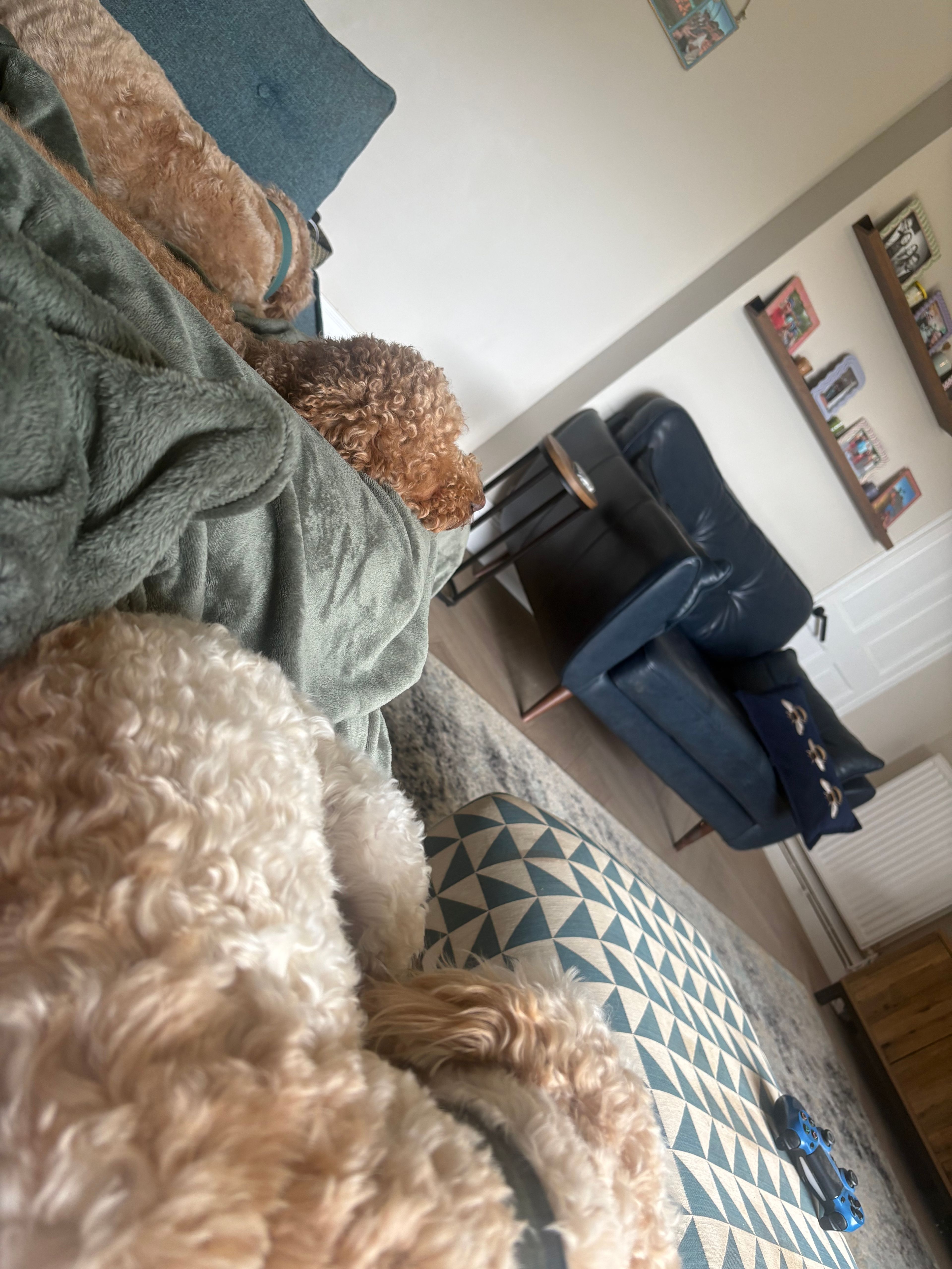 image-13