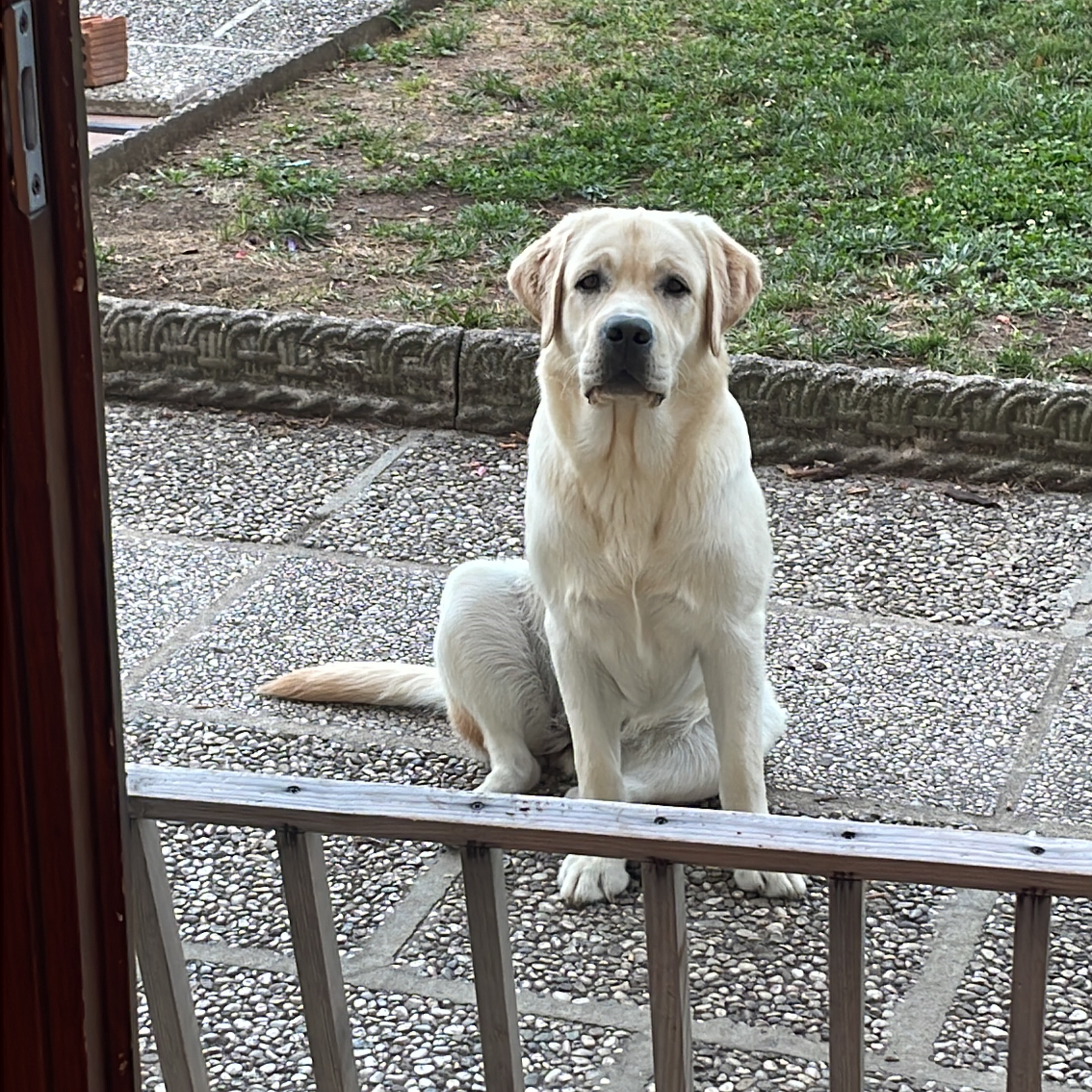 Luna