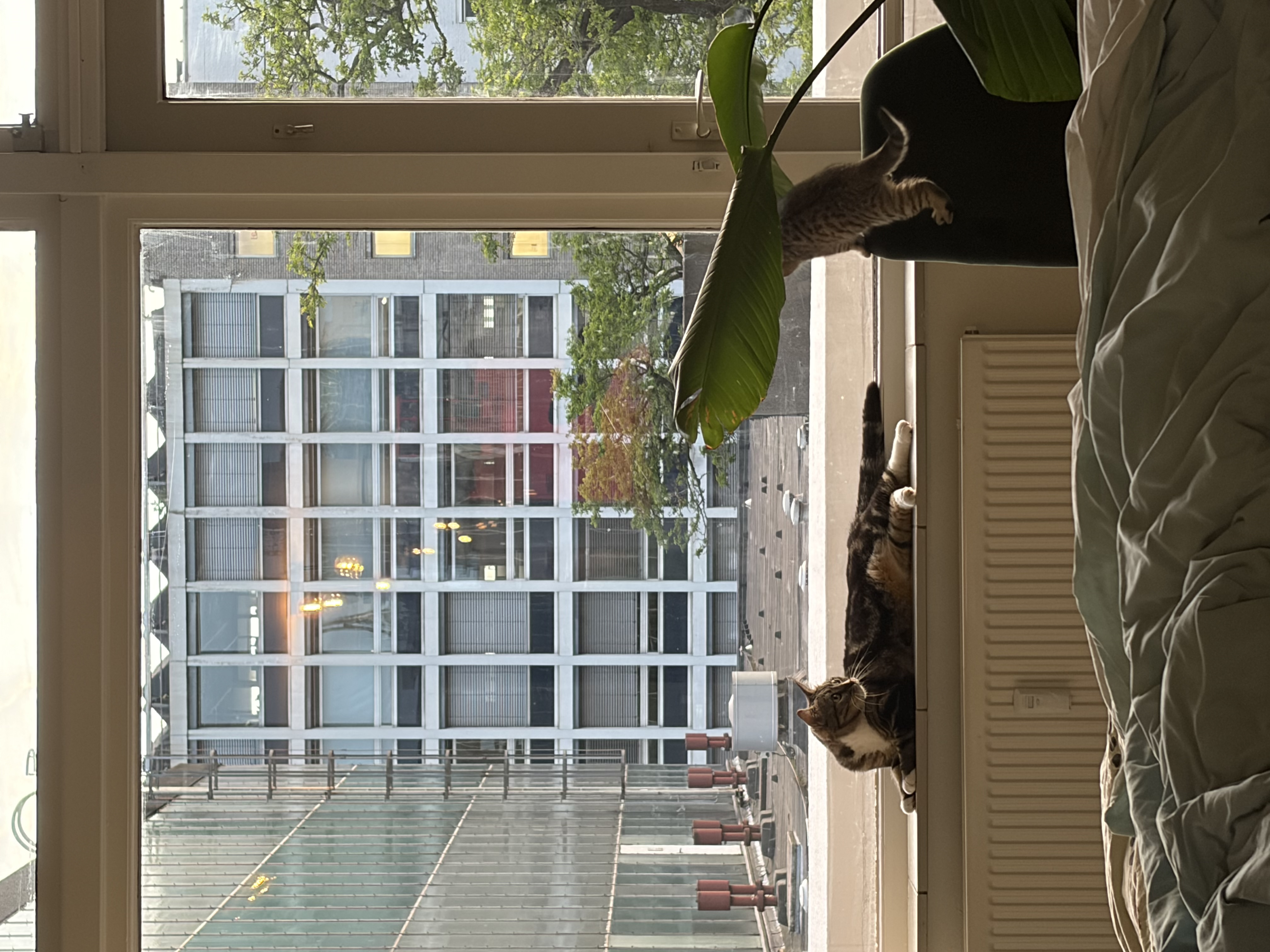 image-10