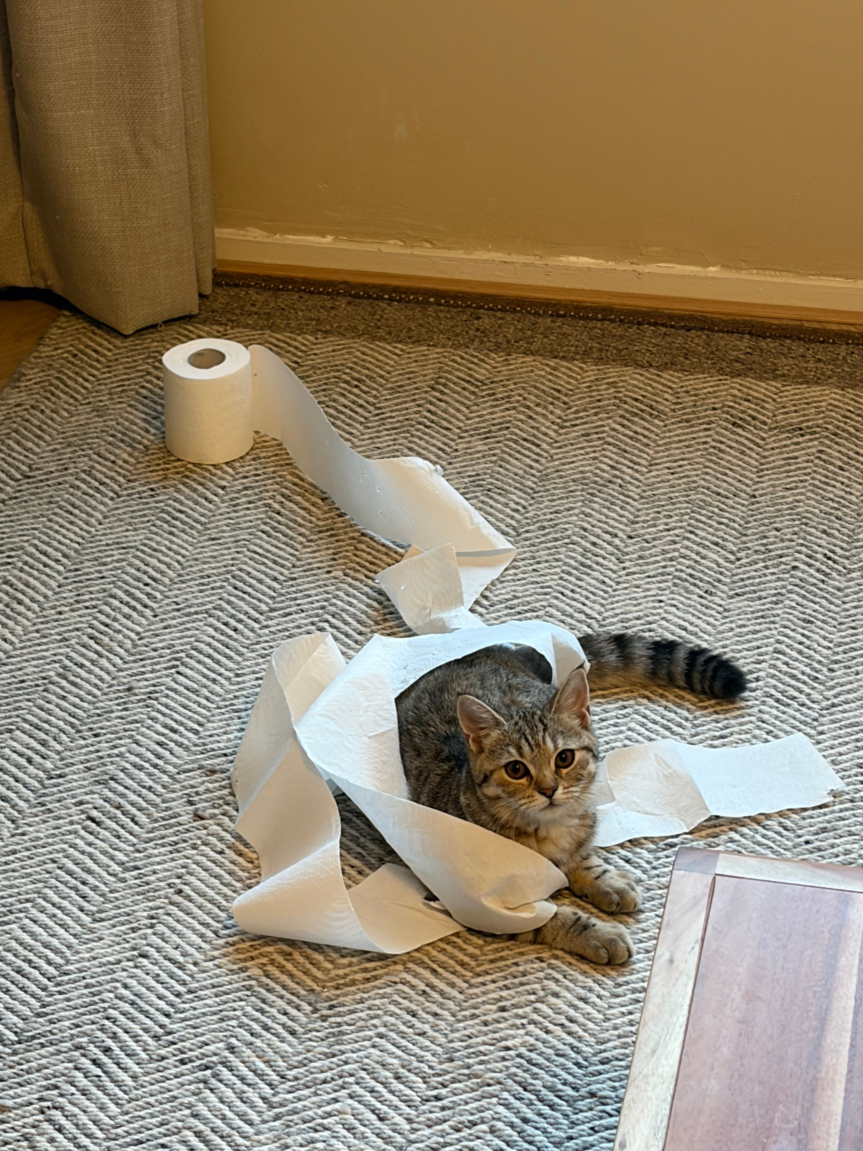 image-13