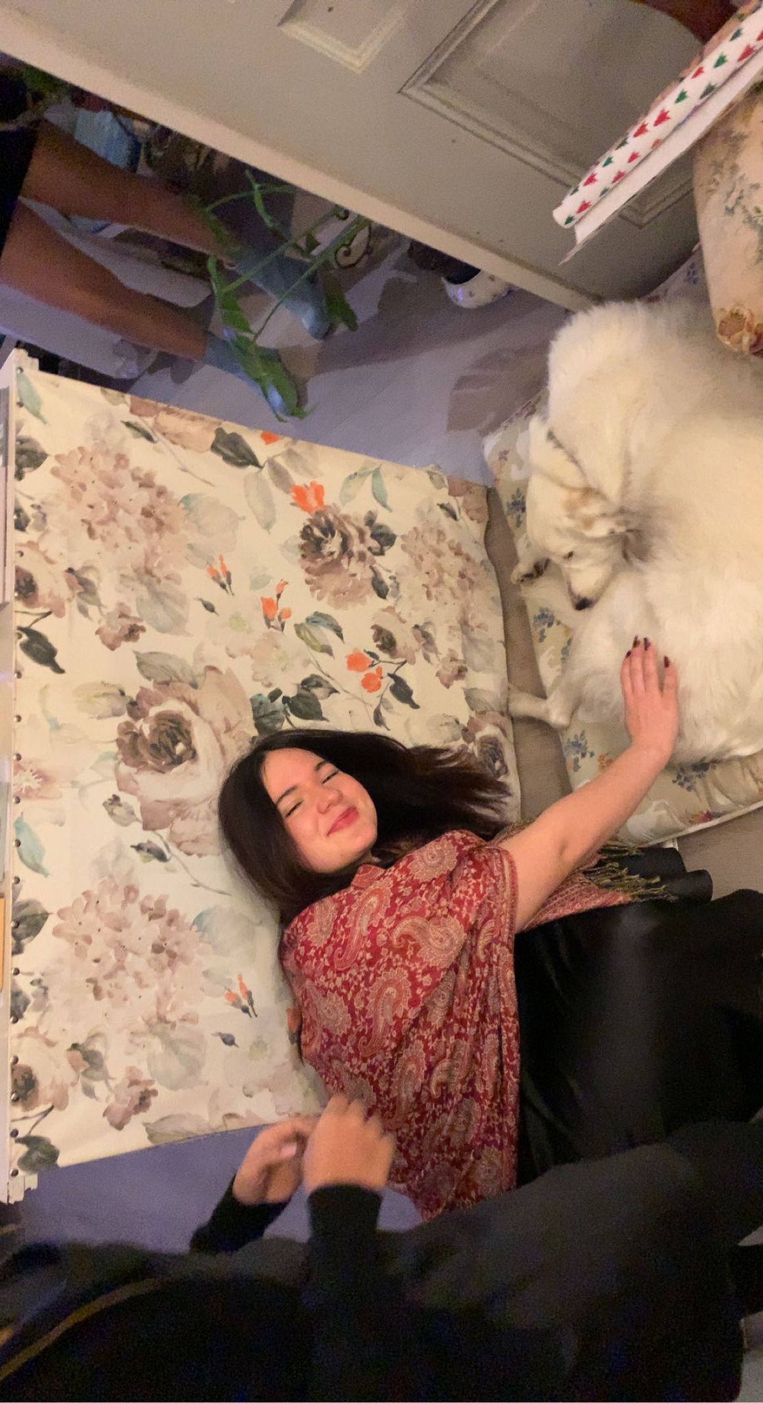 image-7