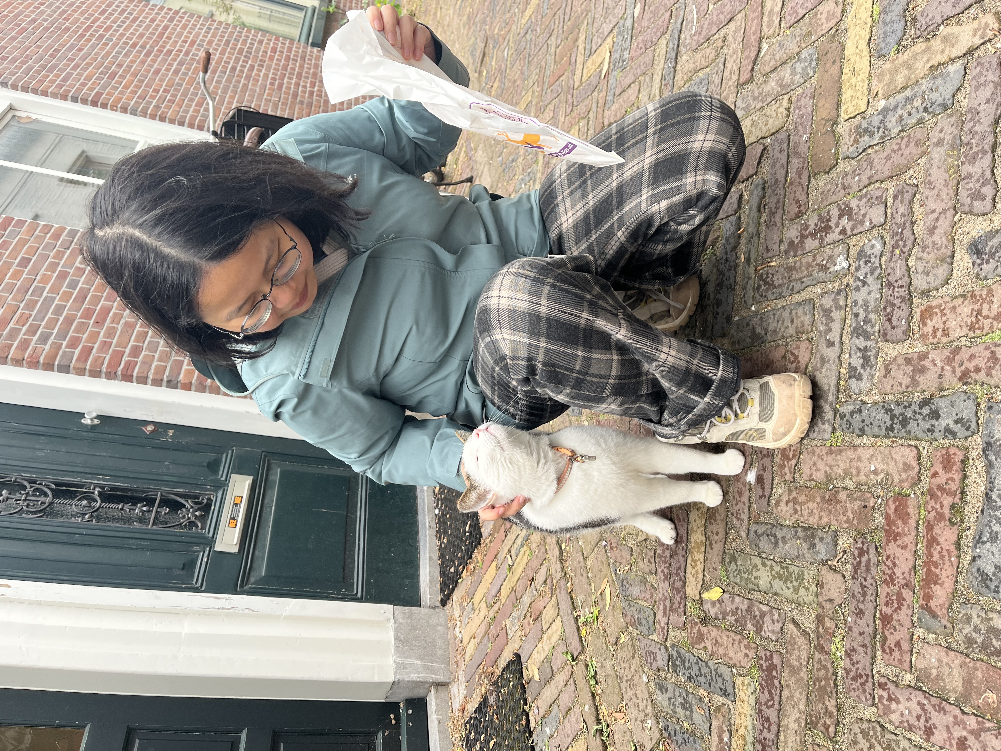 image-6