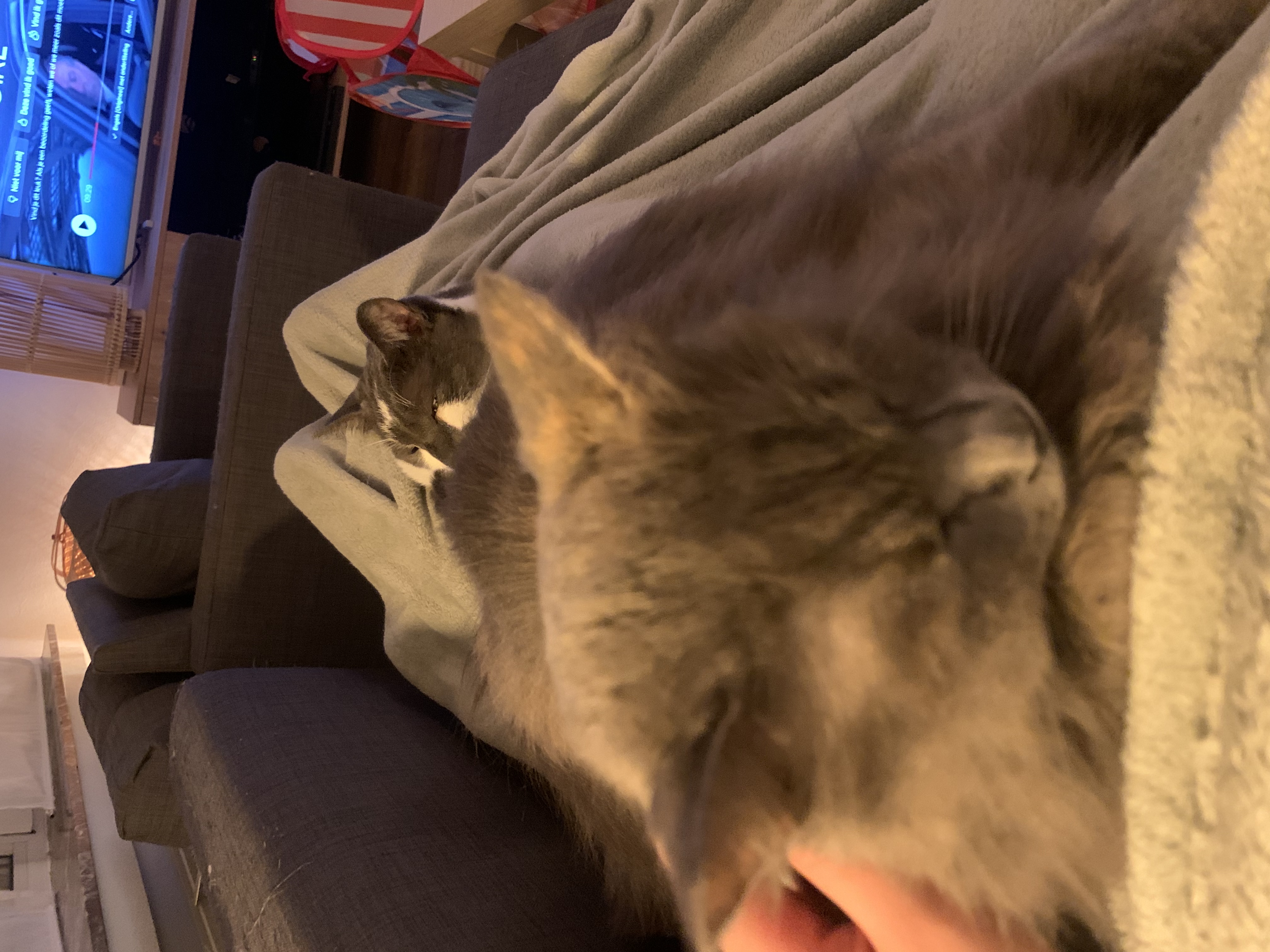 image-8