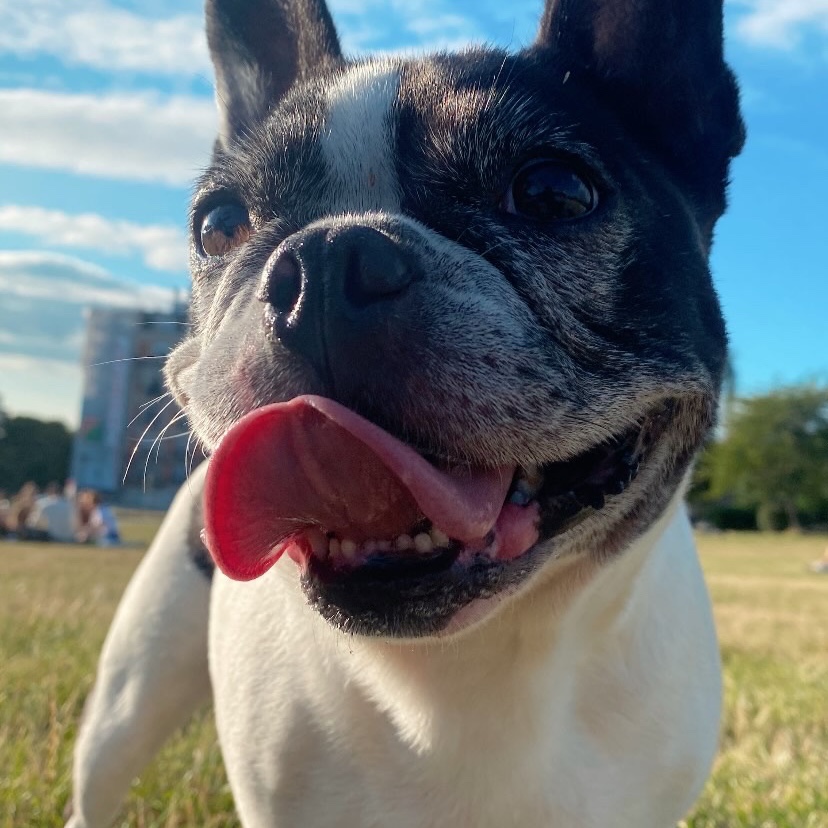 Julie