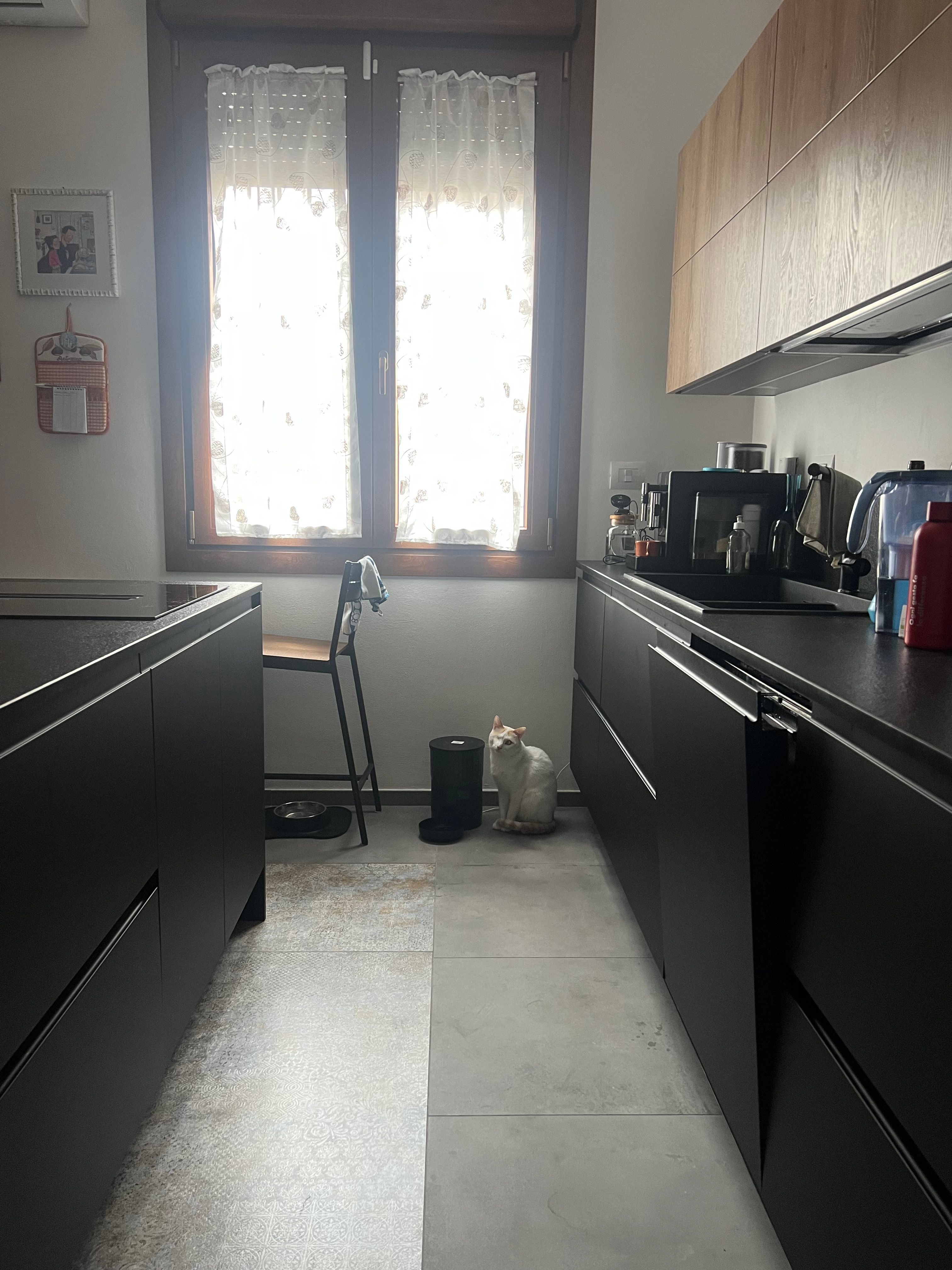 image-18