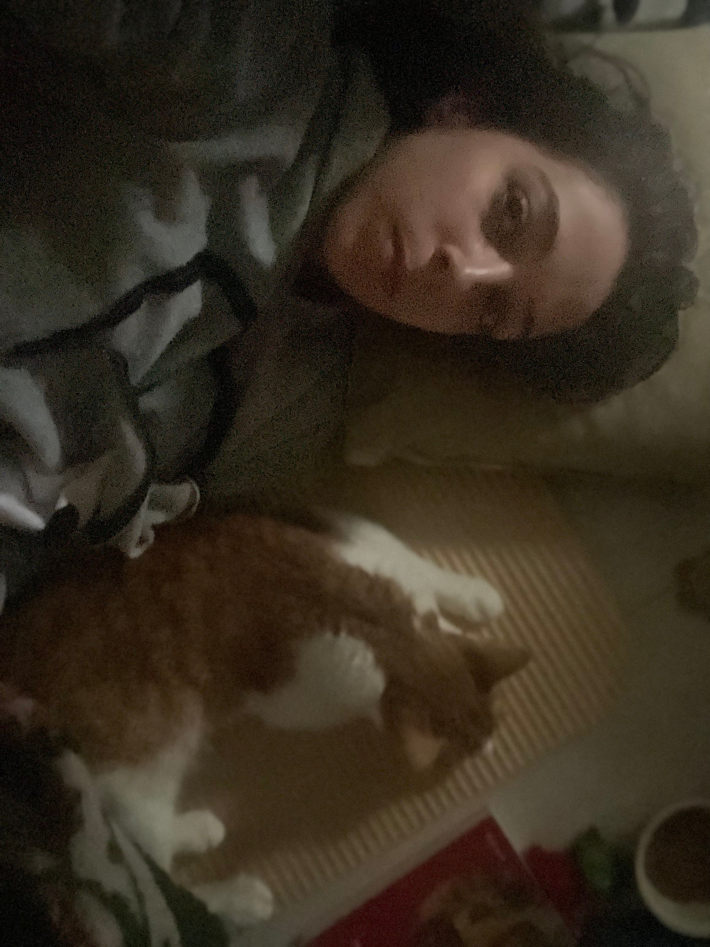 image-11