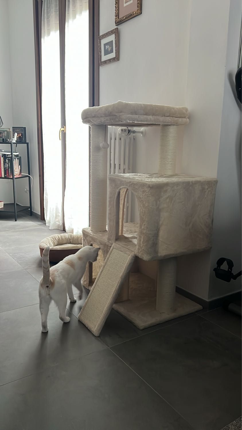 image-16