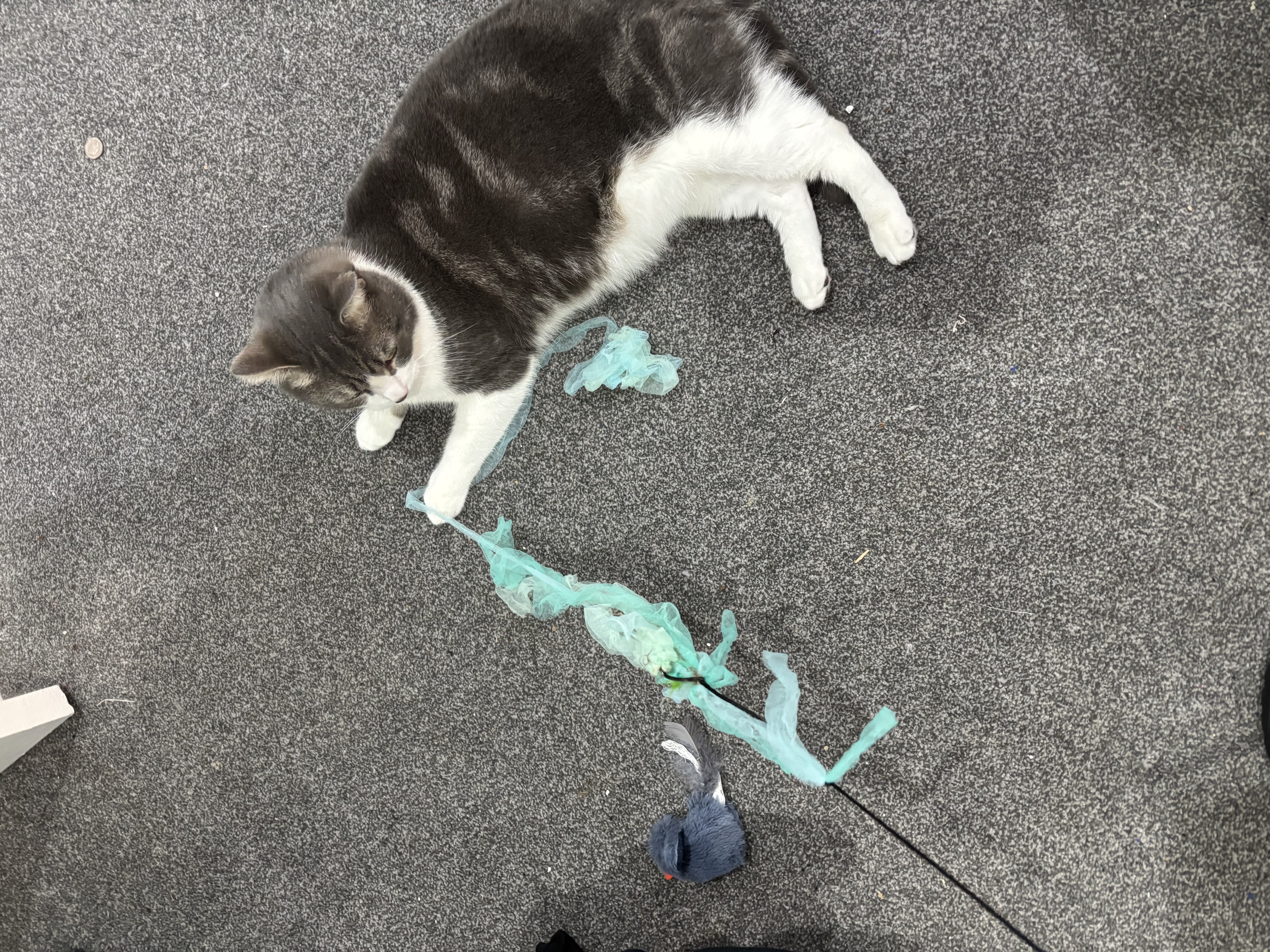 image-14