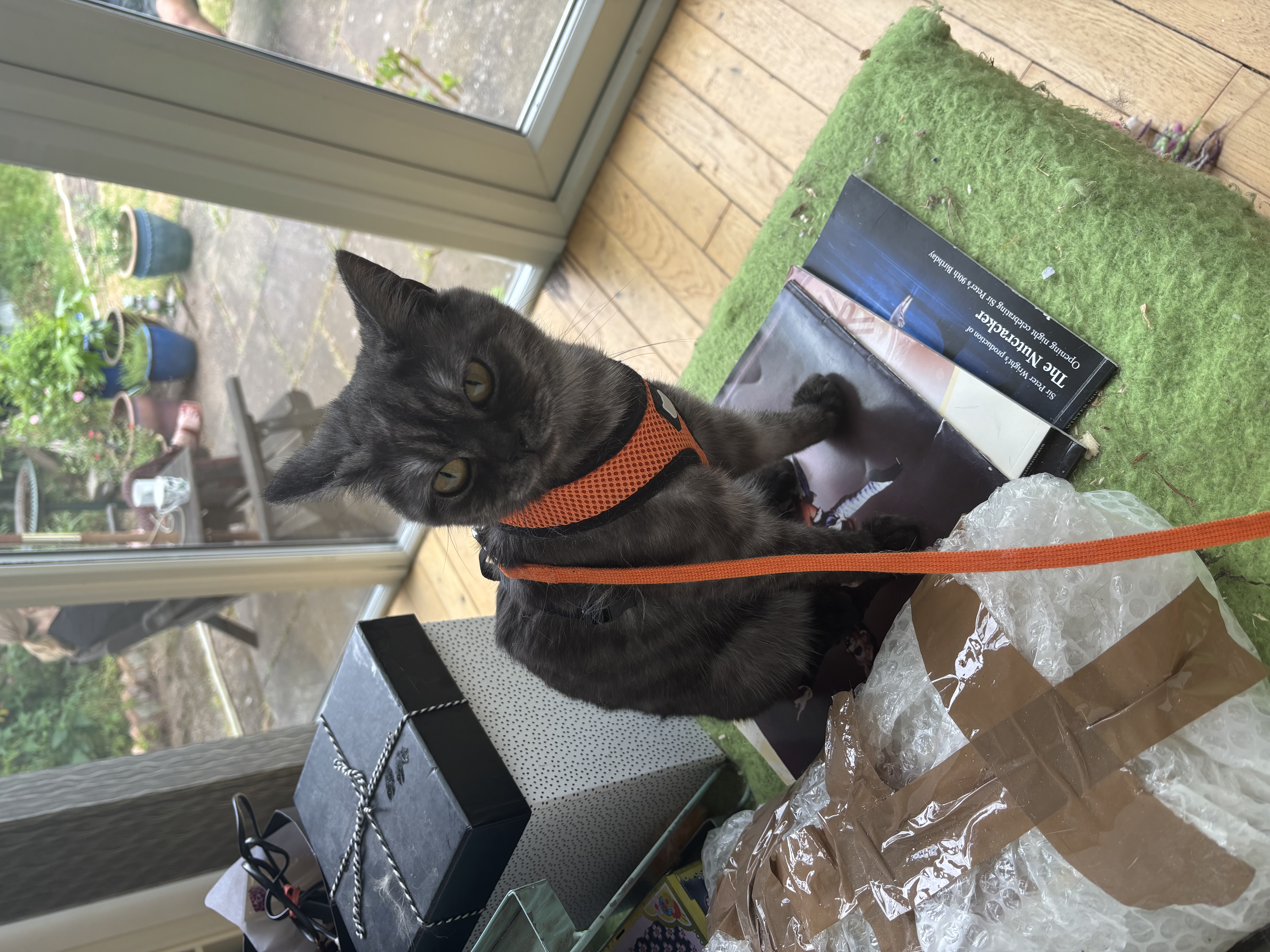 image-7