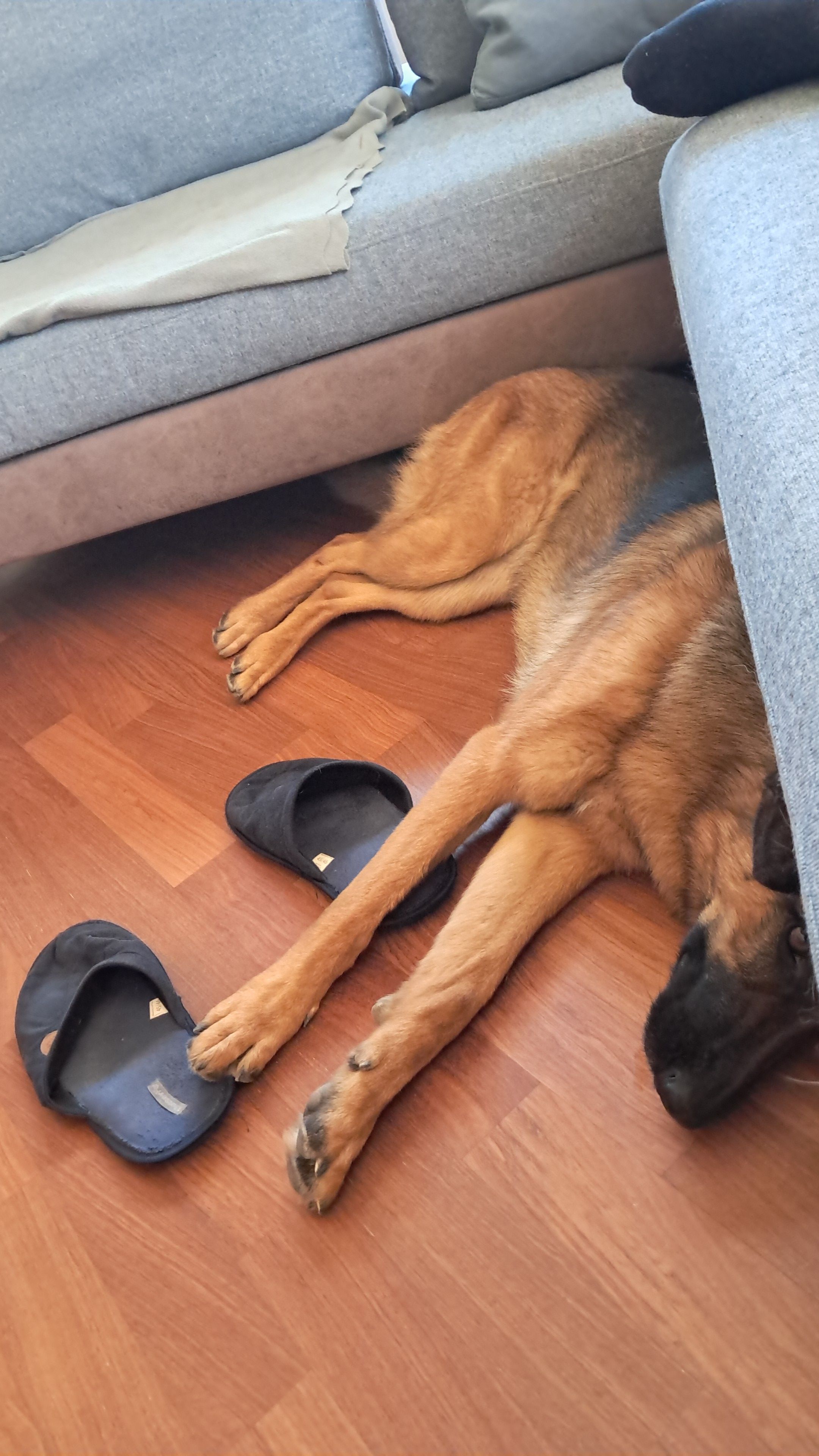 image-5