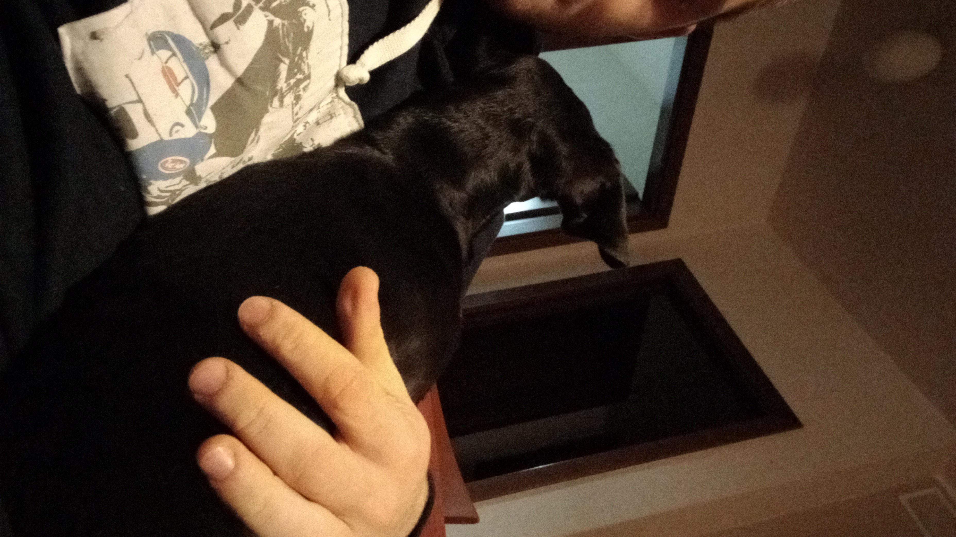 image-9