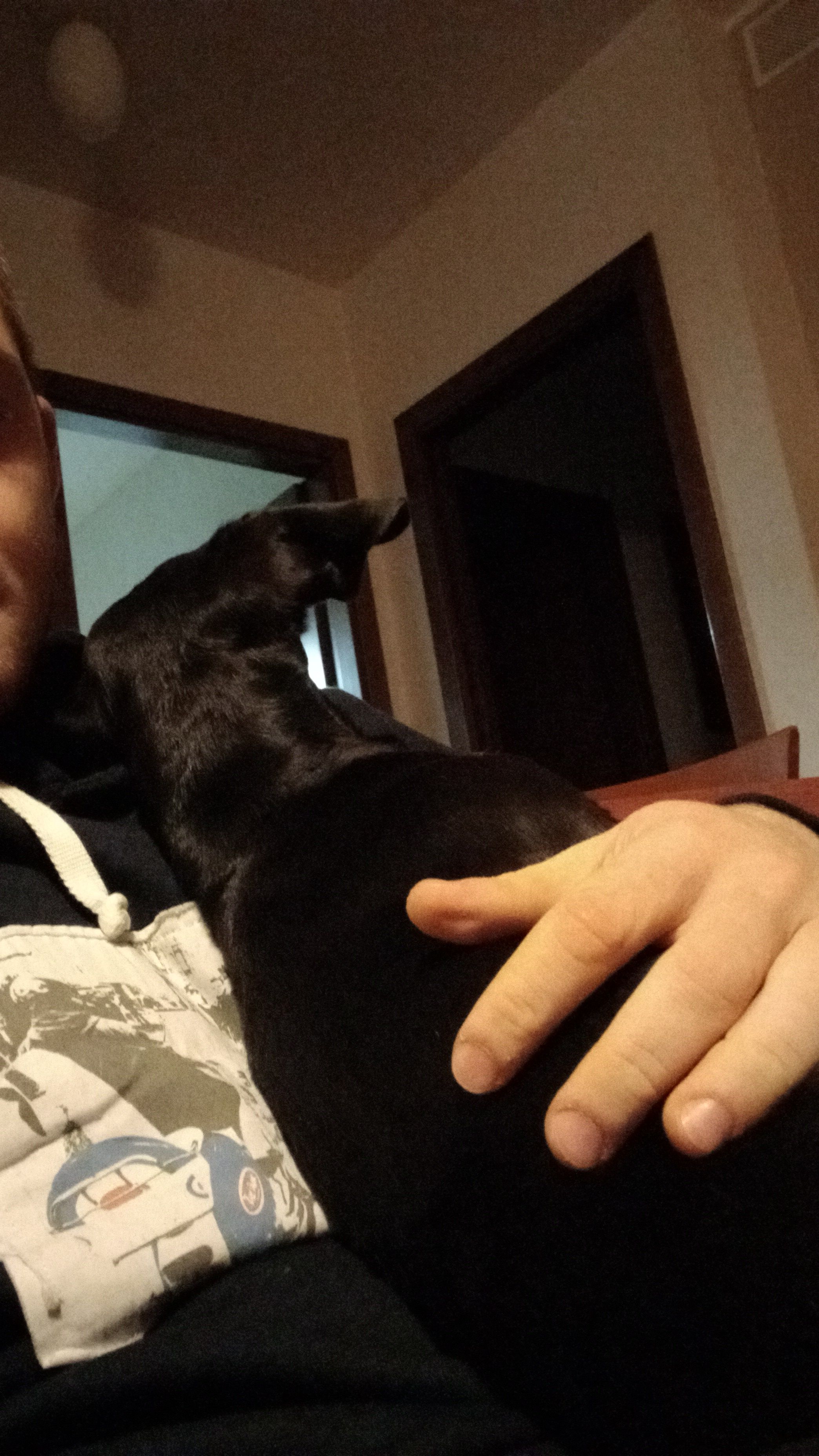 image-9