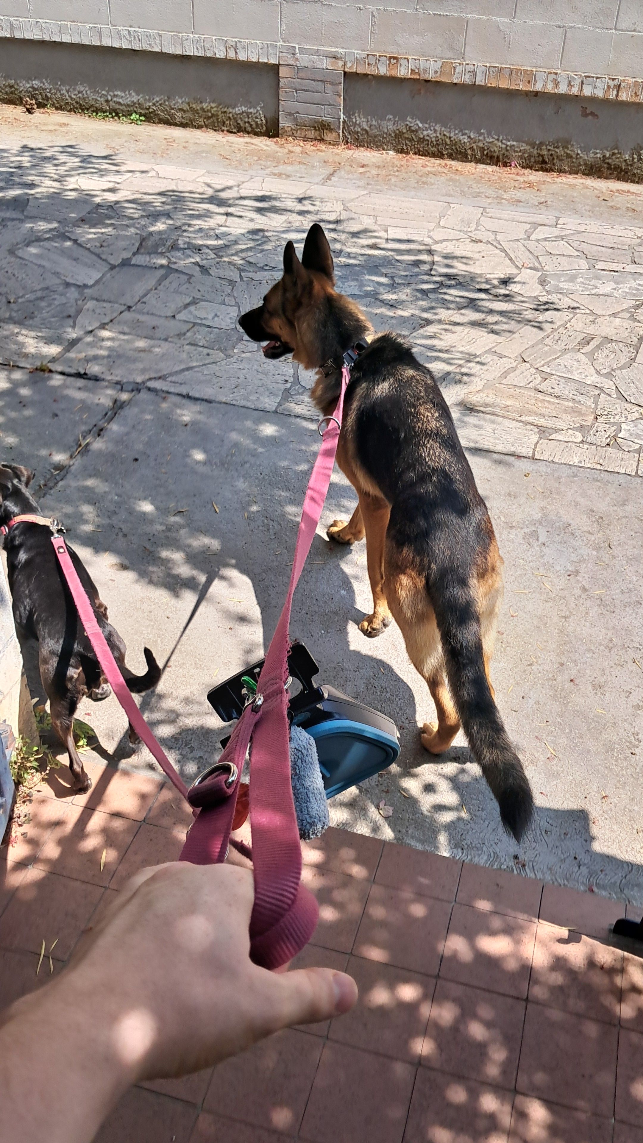image-7