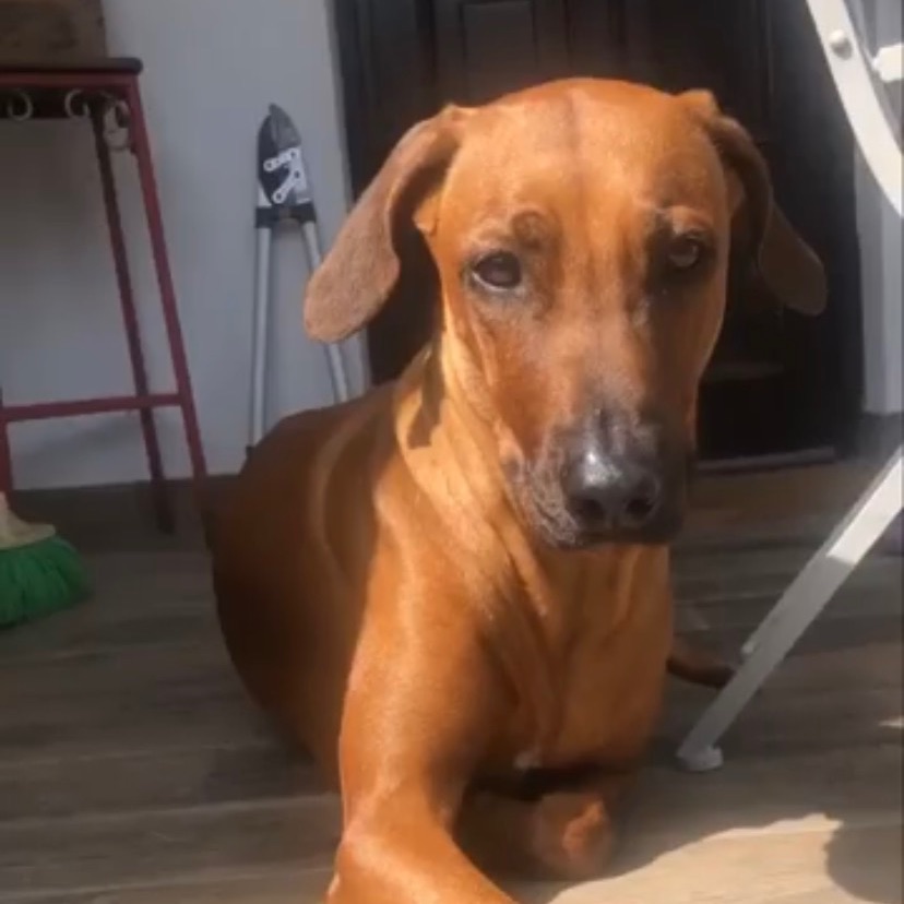Zoe