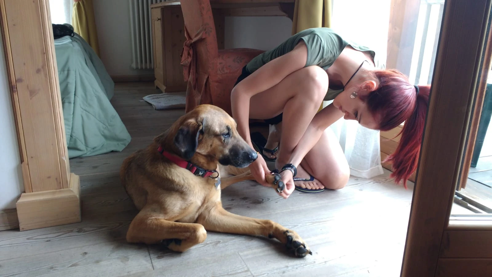 image-10