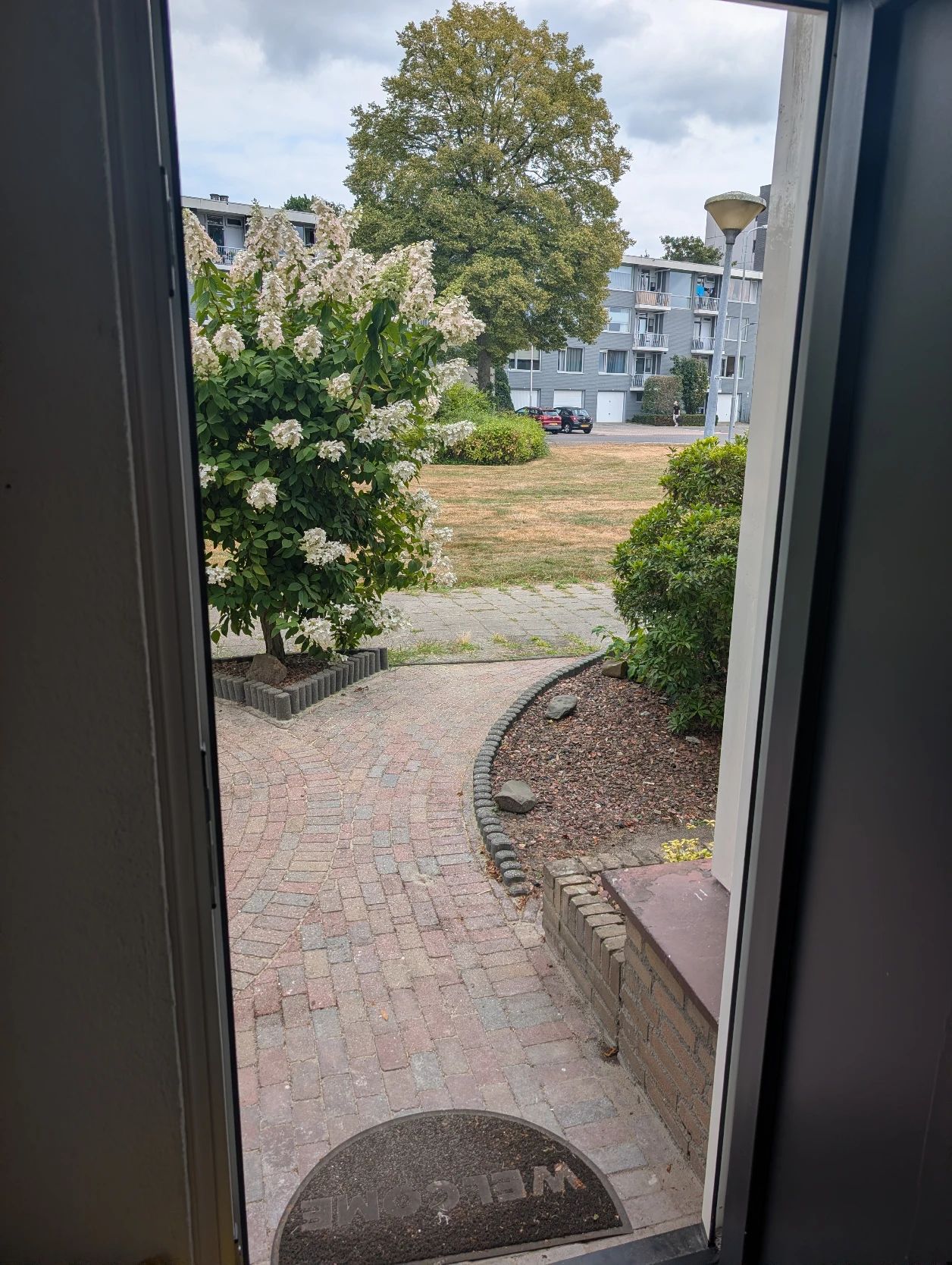 image-20