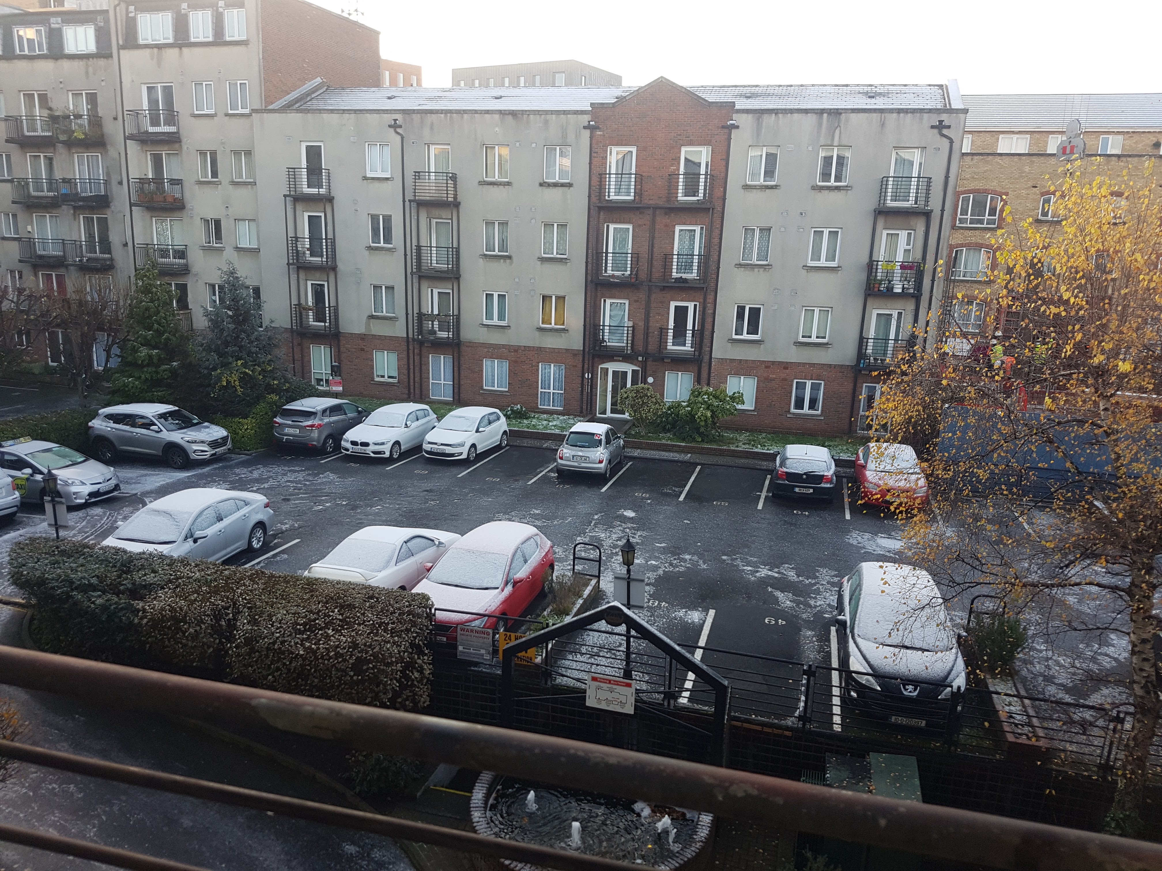 image-19