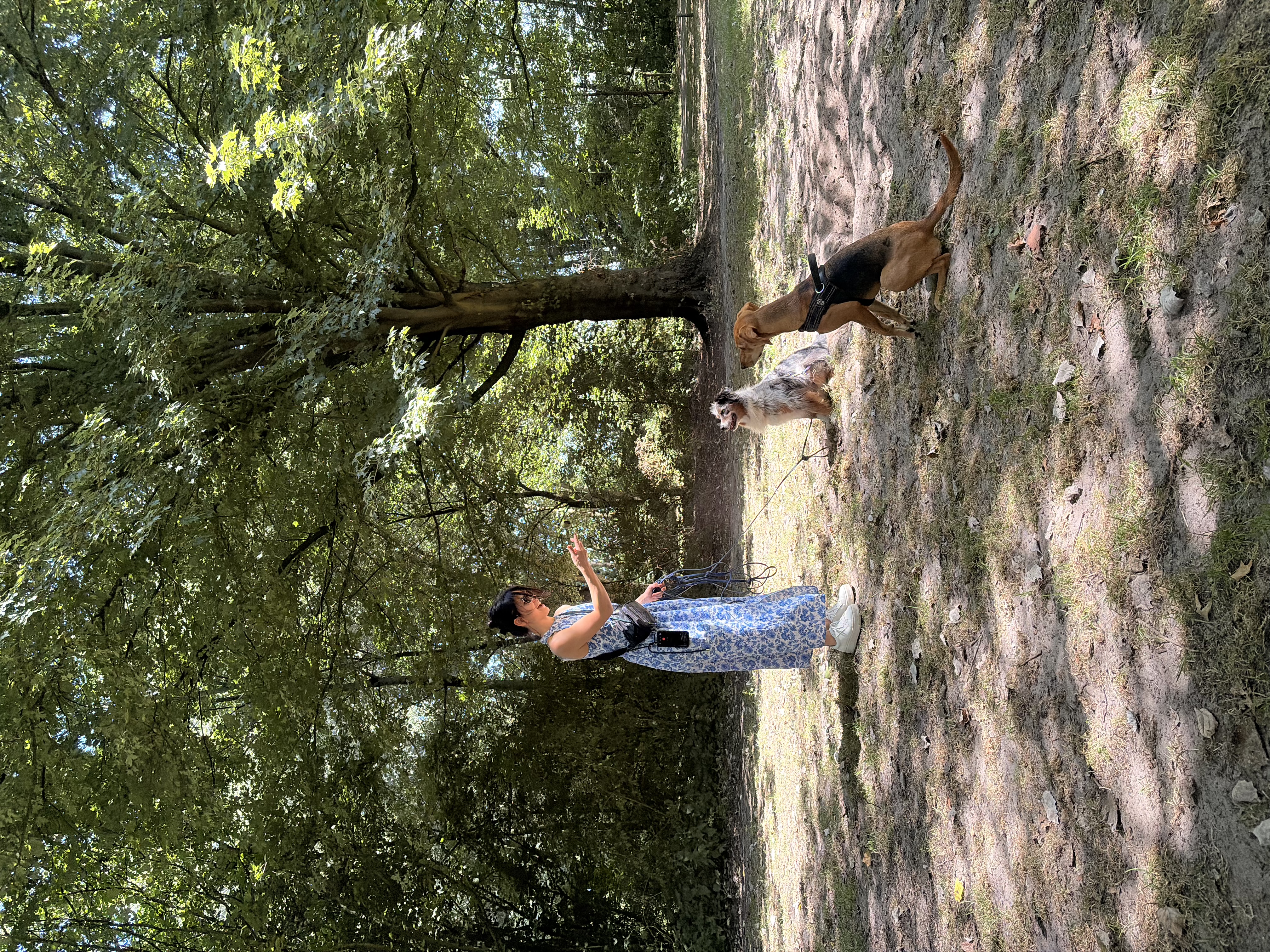 image-0