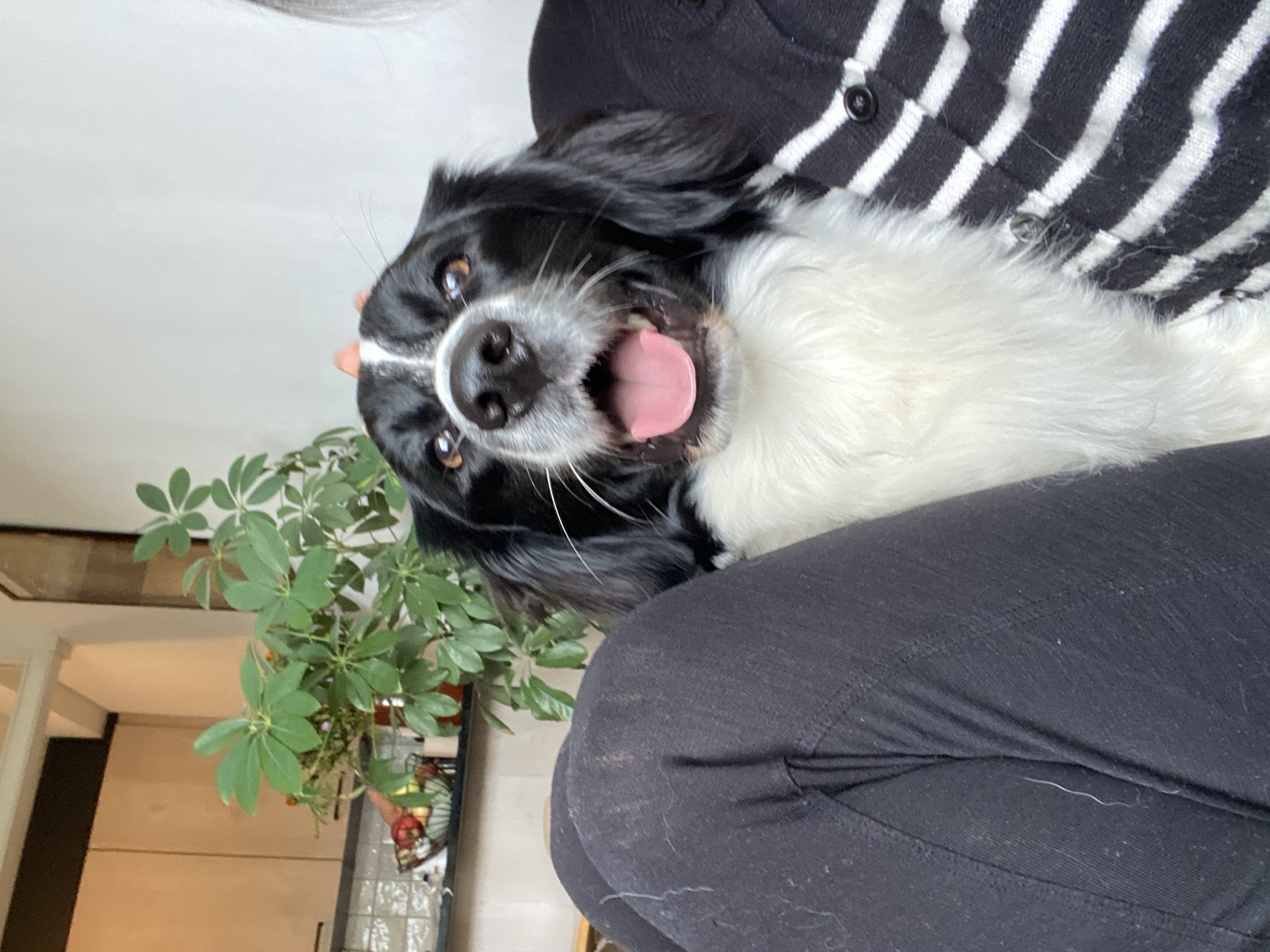 image-6