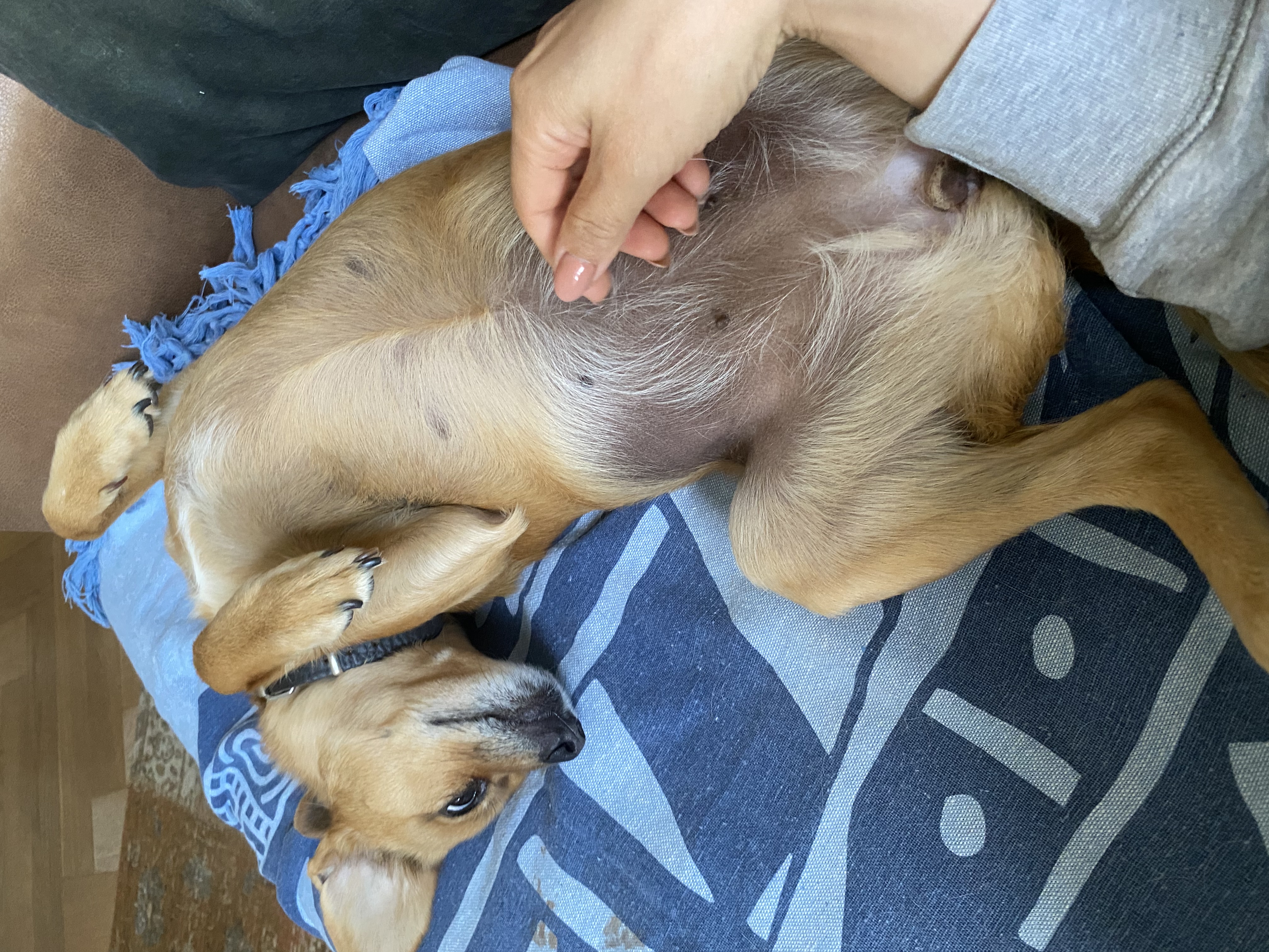 image-6