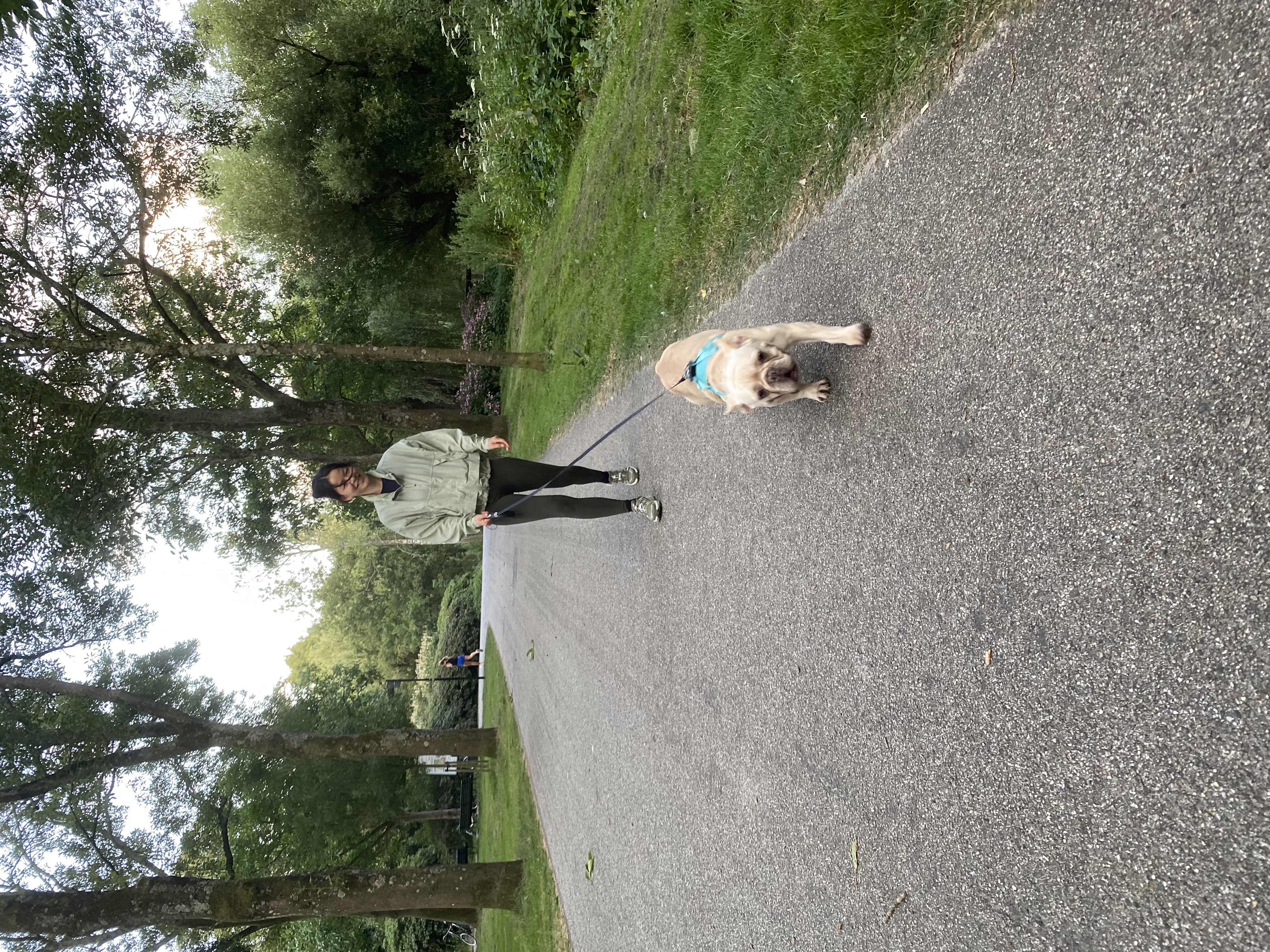 image-14