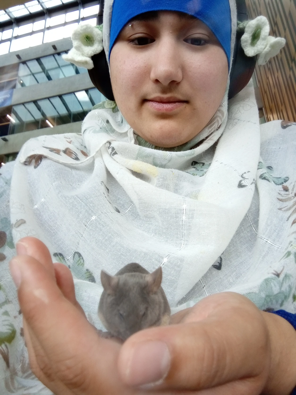 image-8