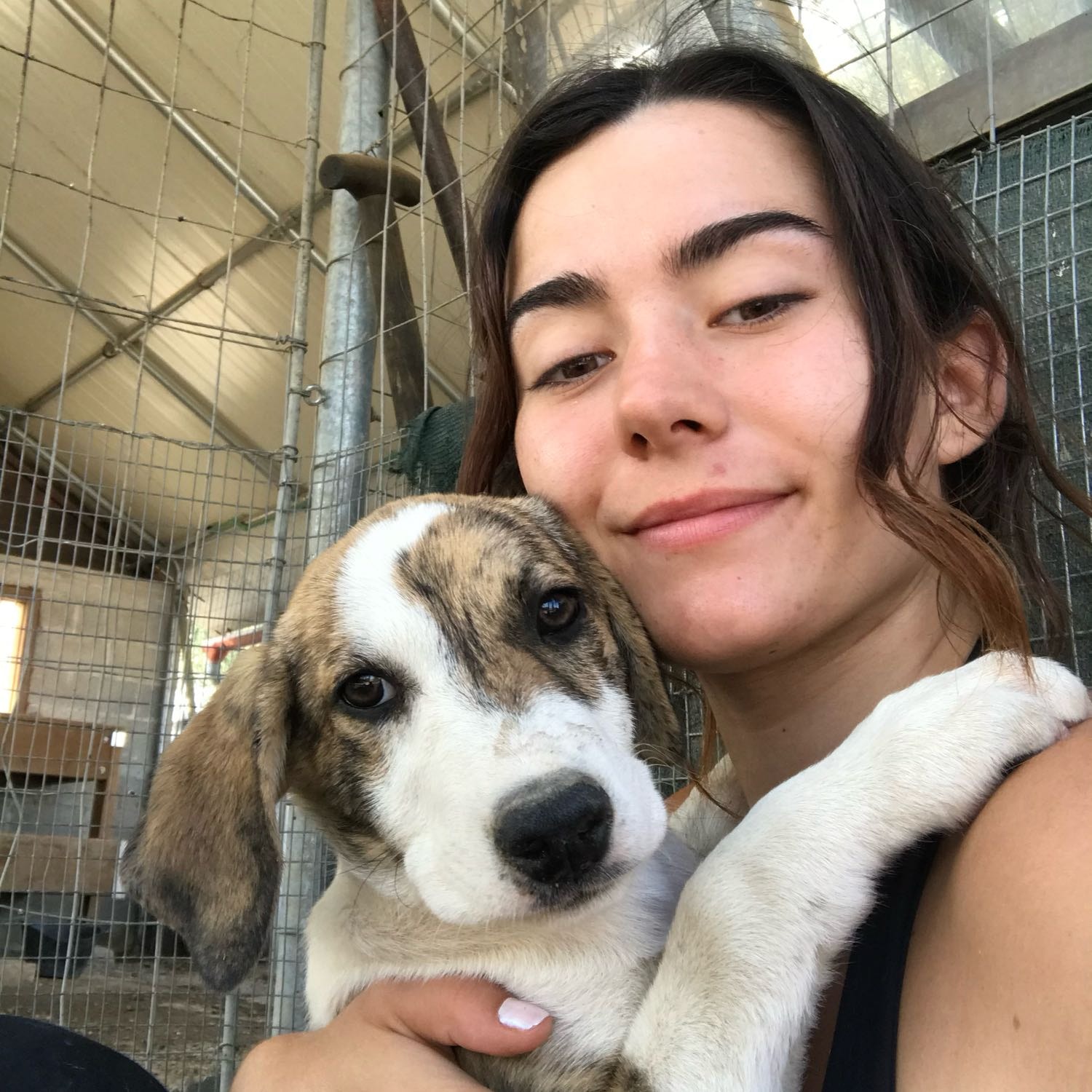 Amélie