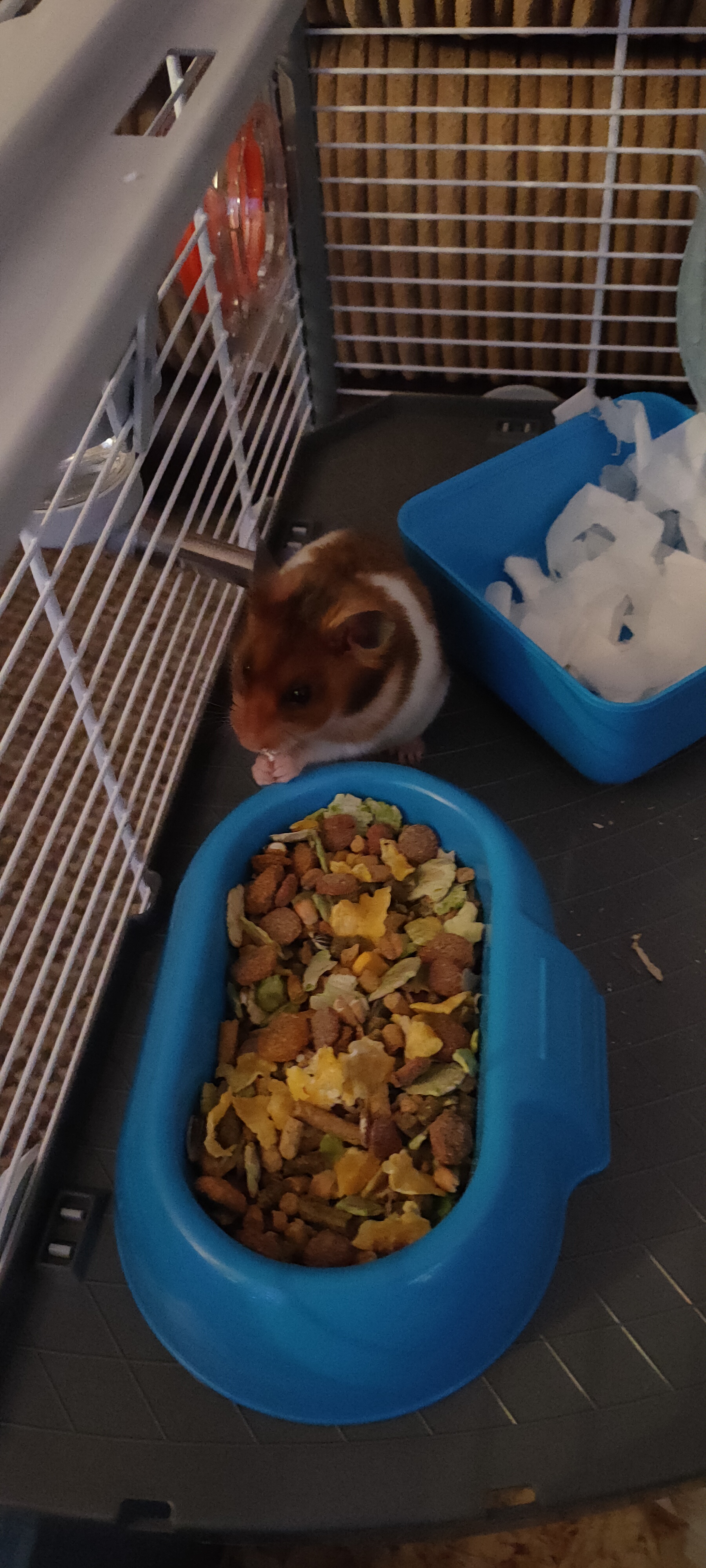 image-8