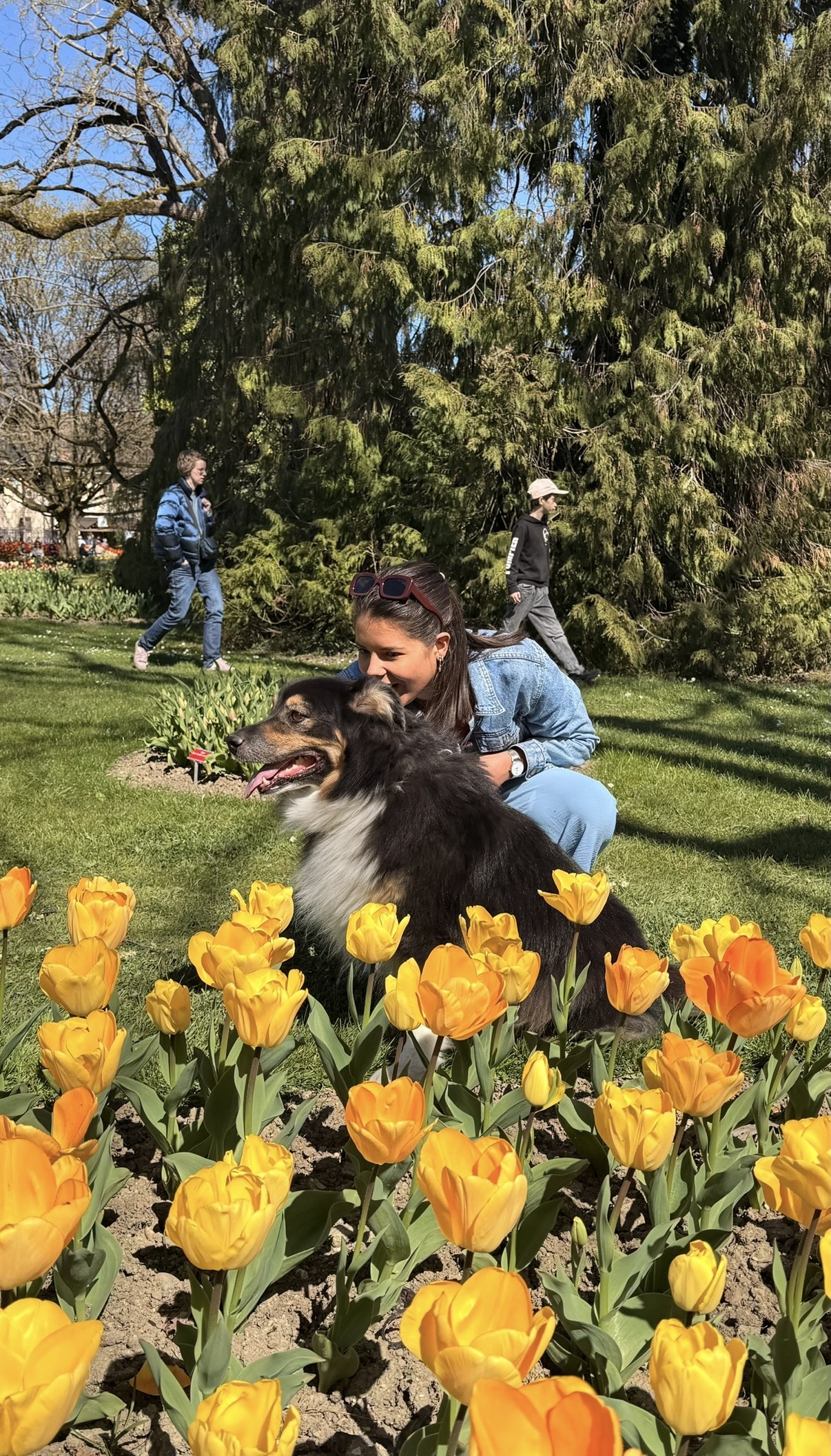 image-17