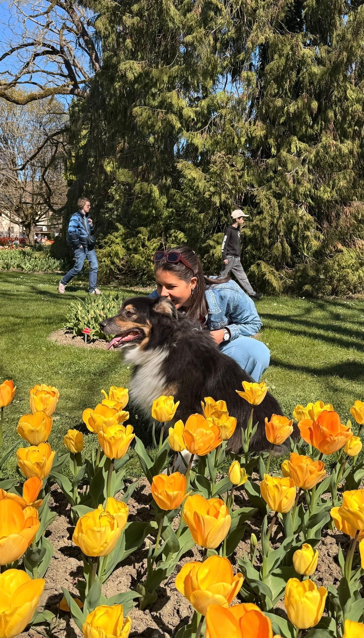 image-17