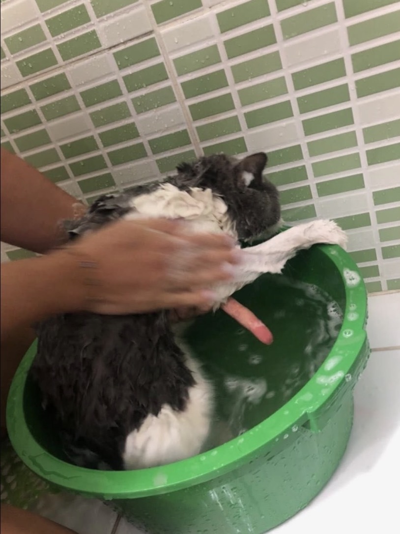 image-8