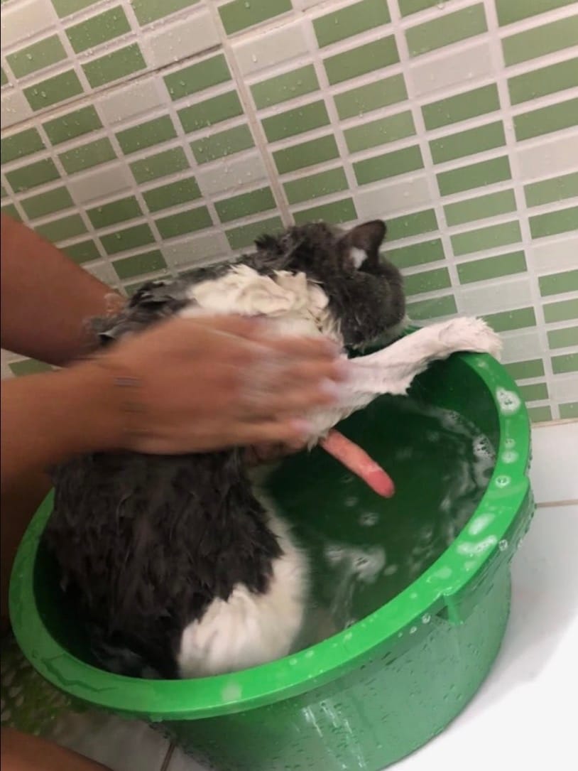 image-8