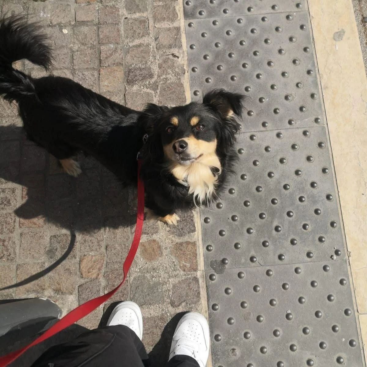 image-5