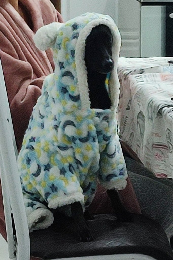 image-5